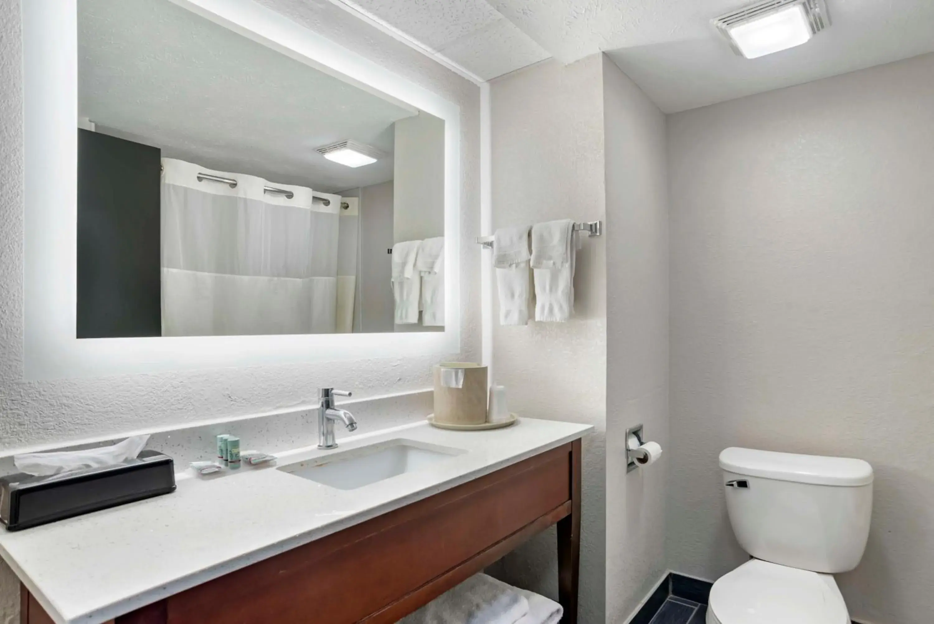 Bathroom in Best Western Canton Inn Bathroom in Best Western Canton Inn