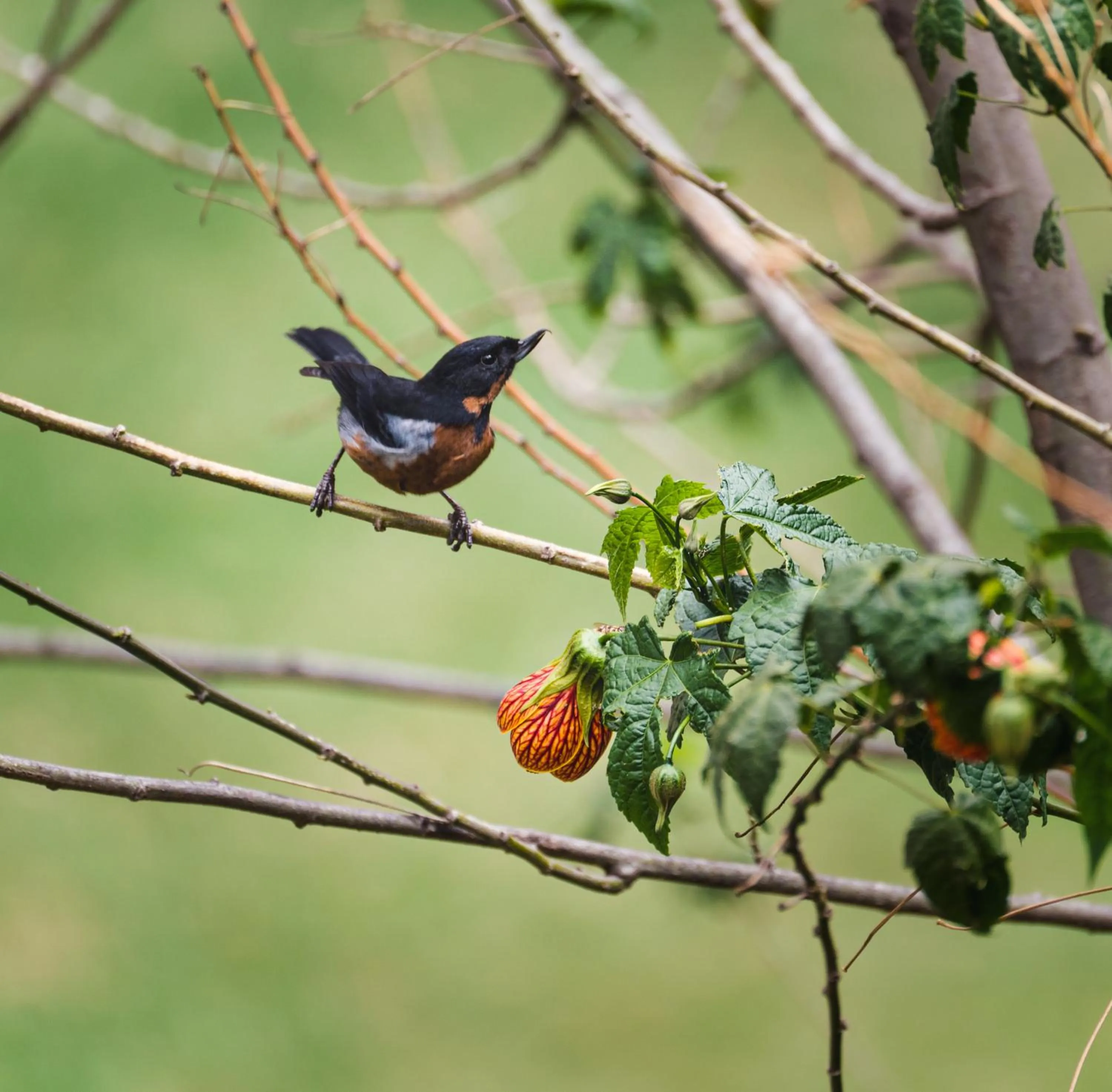 Property building in Hospedaje Chaska Pisac
