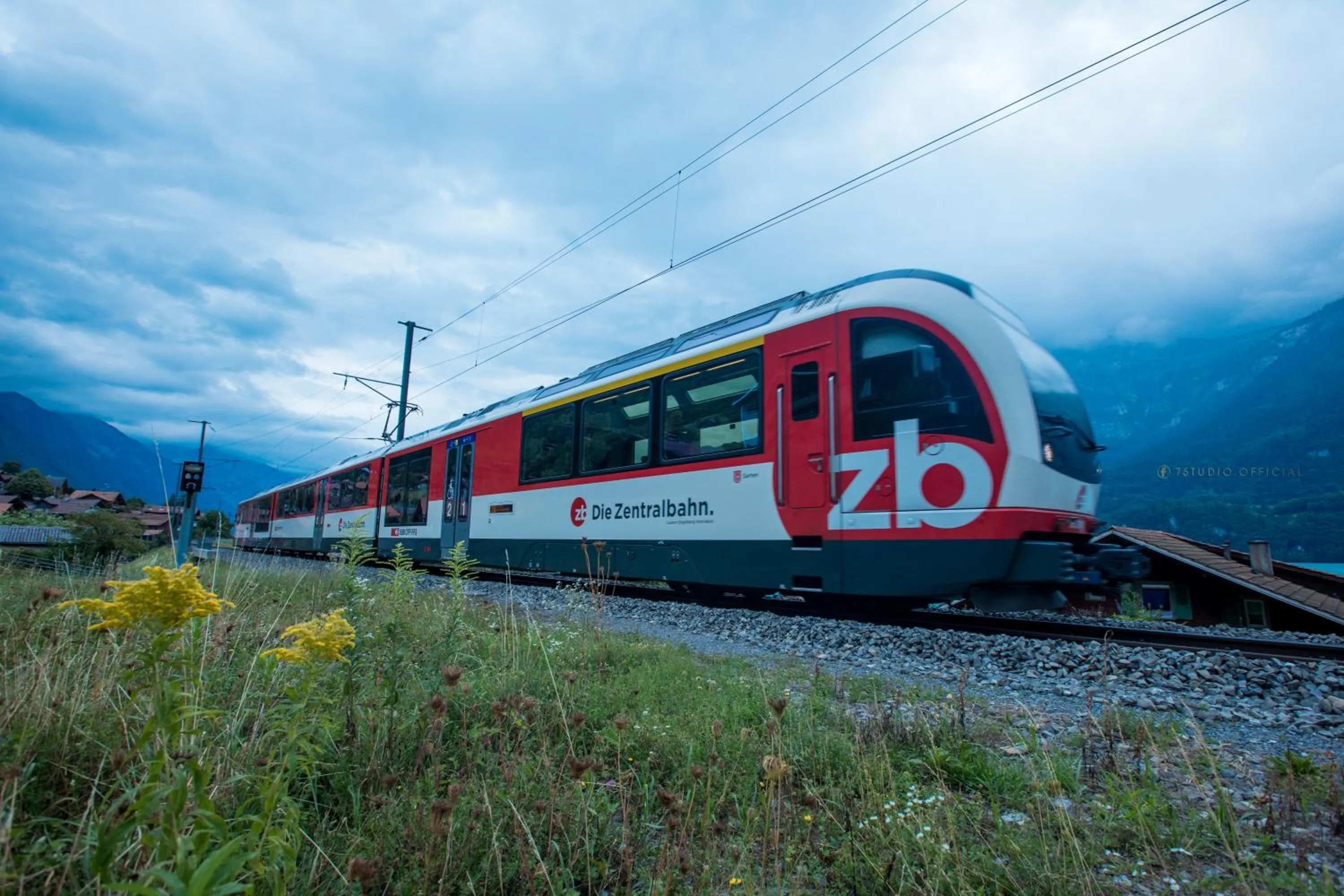 Natural landscape in Hotel Lakeview bei Interlaken
