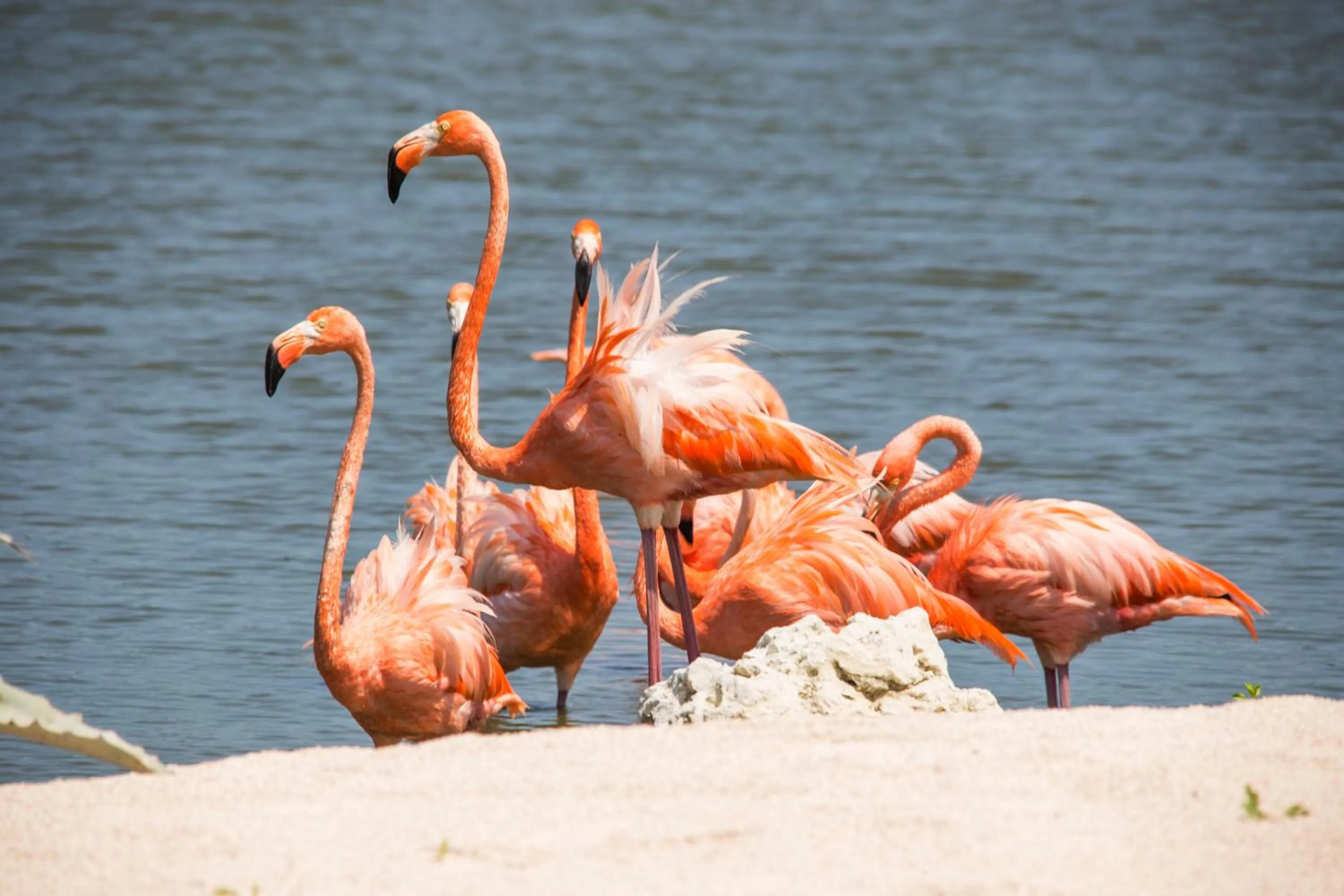 Natural landscape in Blue Bay Lodges