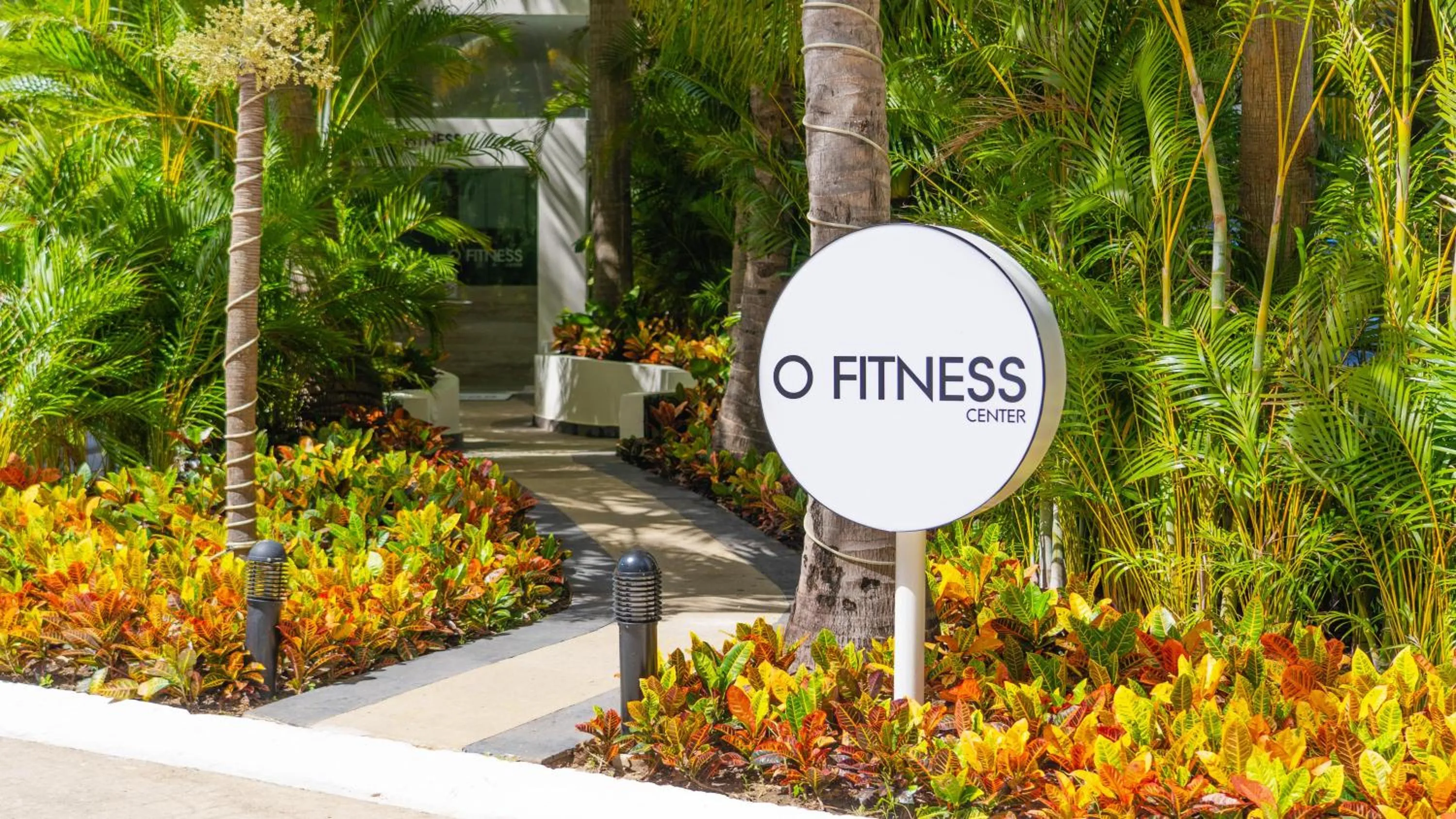 Activities in Oasis Palm - All Inclusive