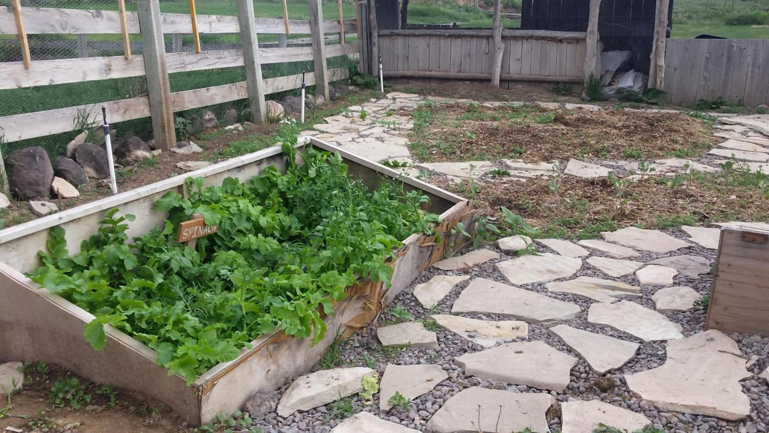 Garden in Boulder Mountain Guest Ranch