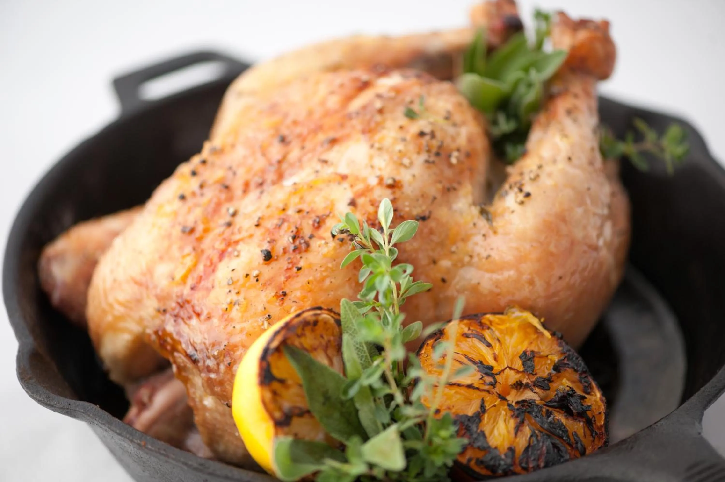 Restaurant/places to eat in Boulder Mountain Guest Ranch