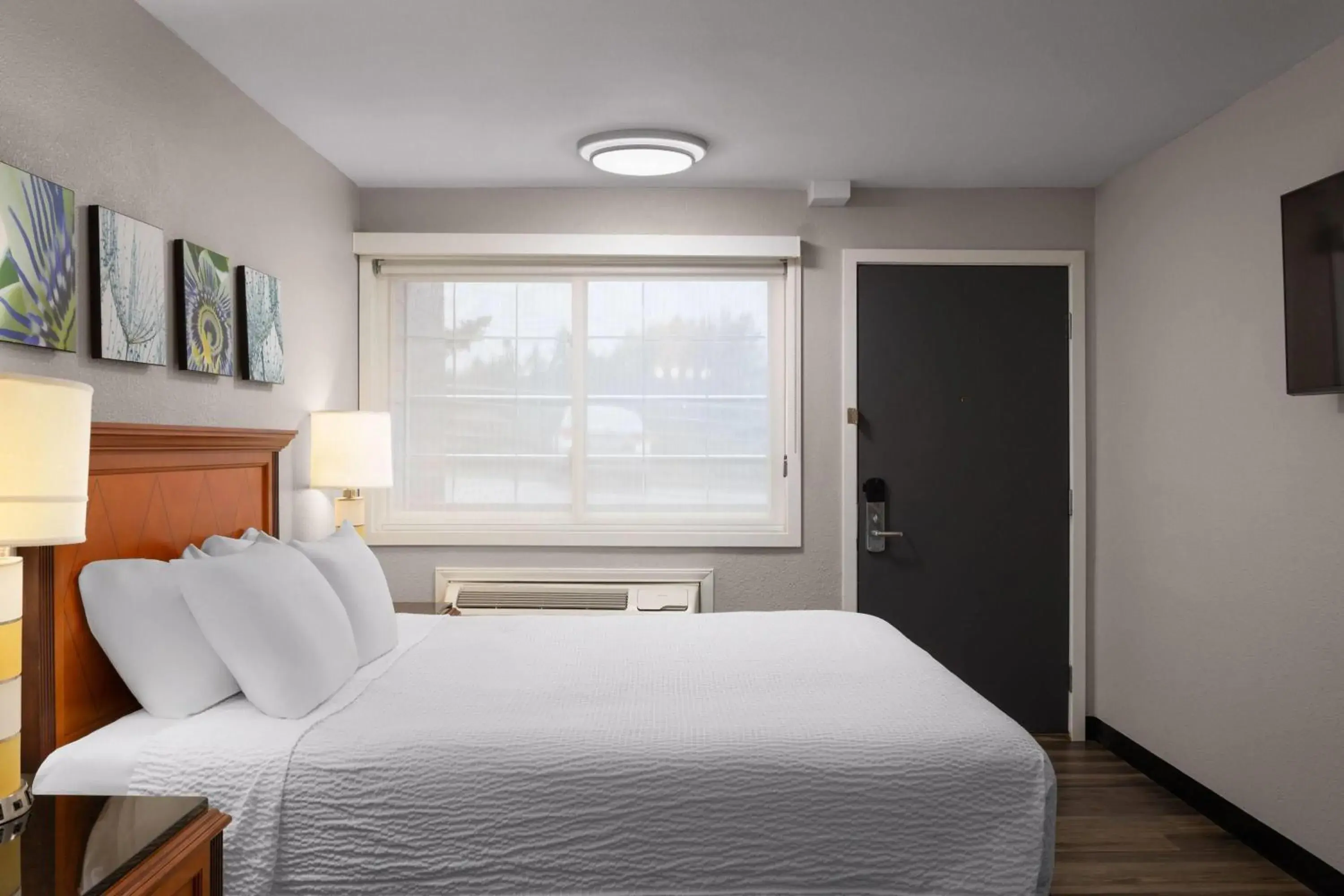 Photo of the whole room, Bed in Basecamp Puyallup a Travelodge by Wyndham Photo of the whole room, Bed in Basecamp Puyallup a Travelodge by Wyndham