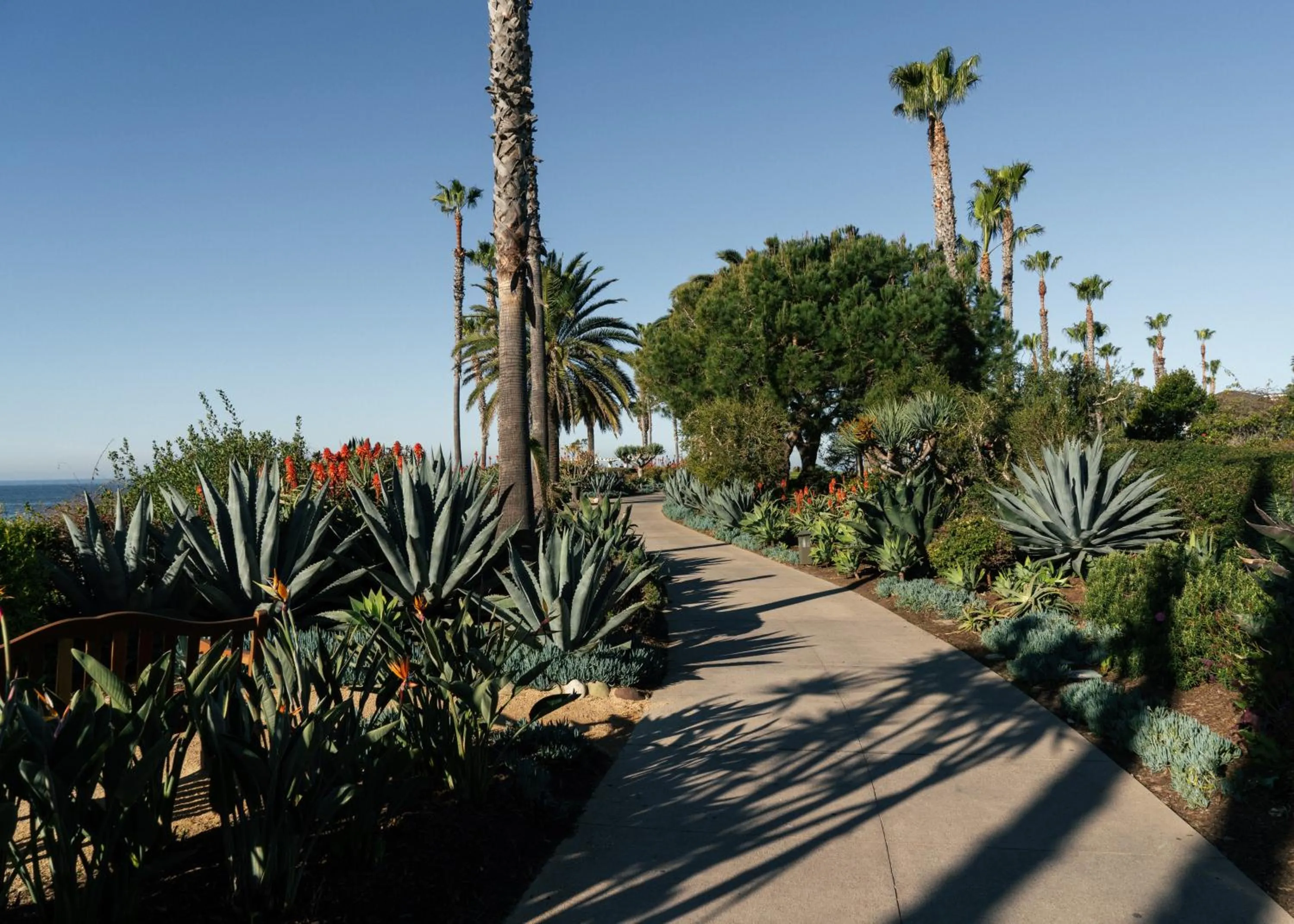 Natural landscape in Laguna Beach Lodge