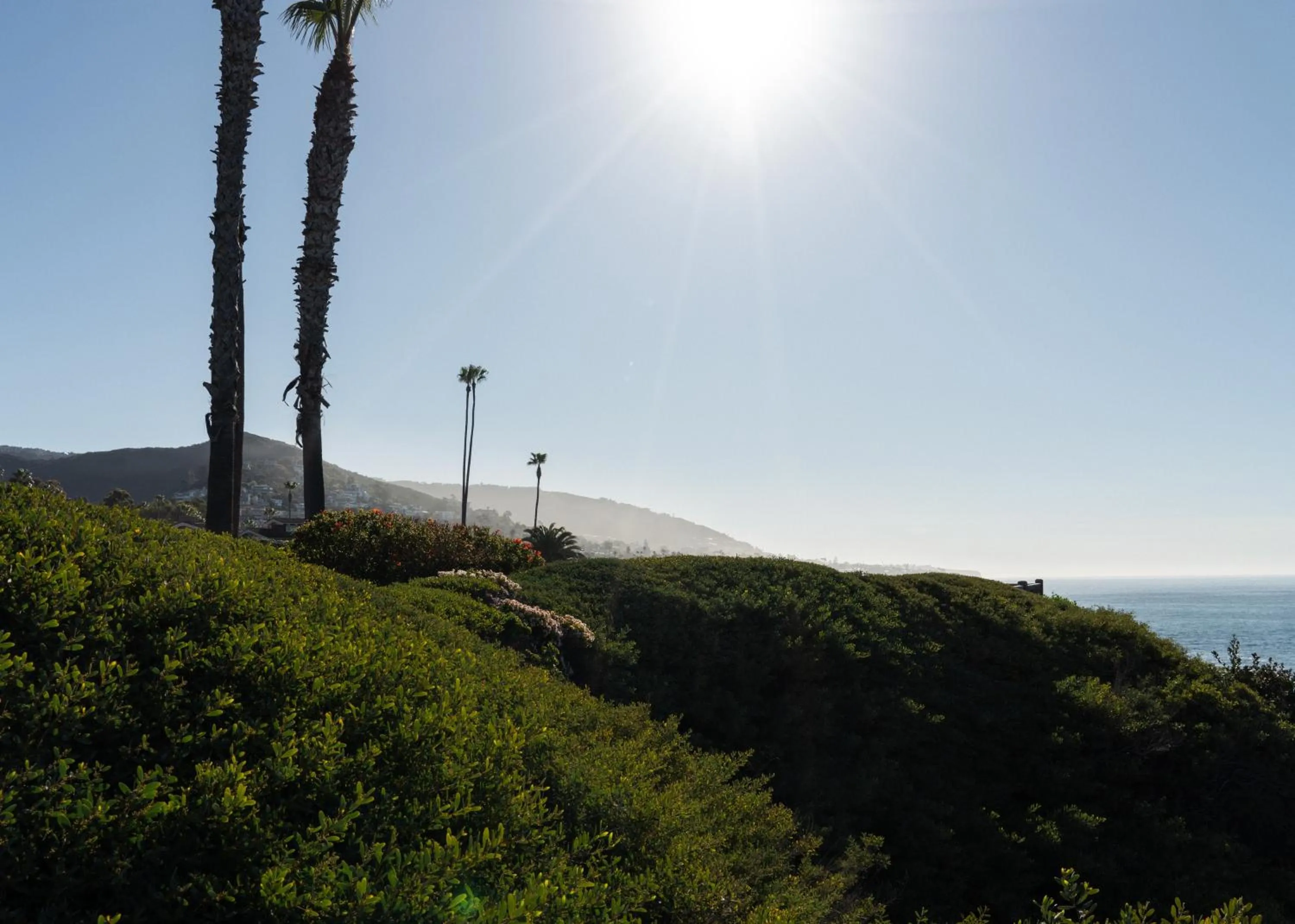 Natural Landscape in Laguna Beach Lodge