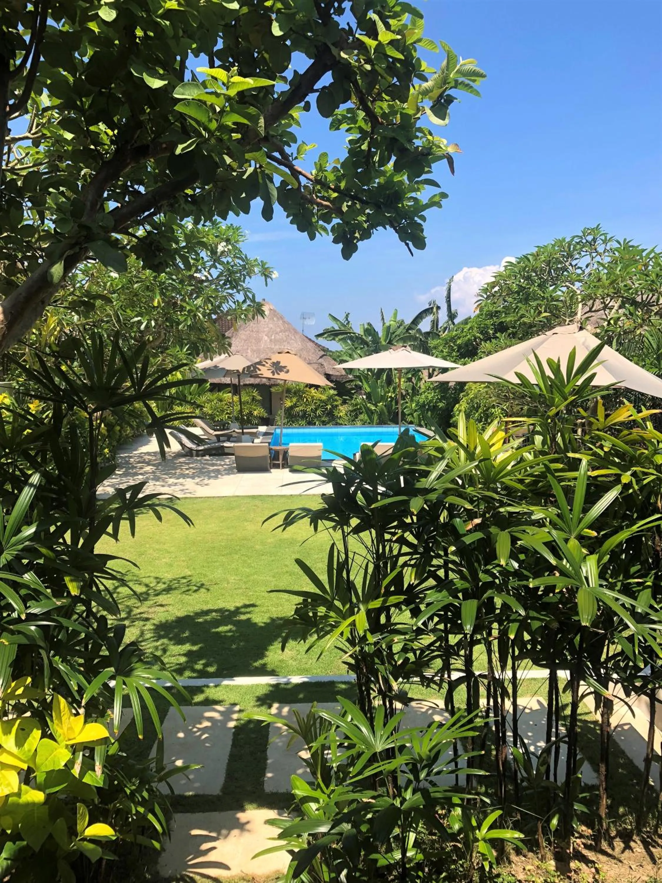 Garden in Pandana Boutique Hotel