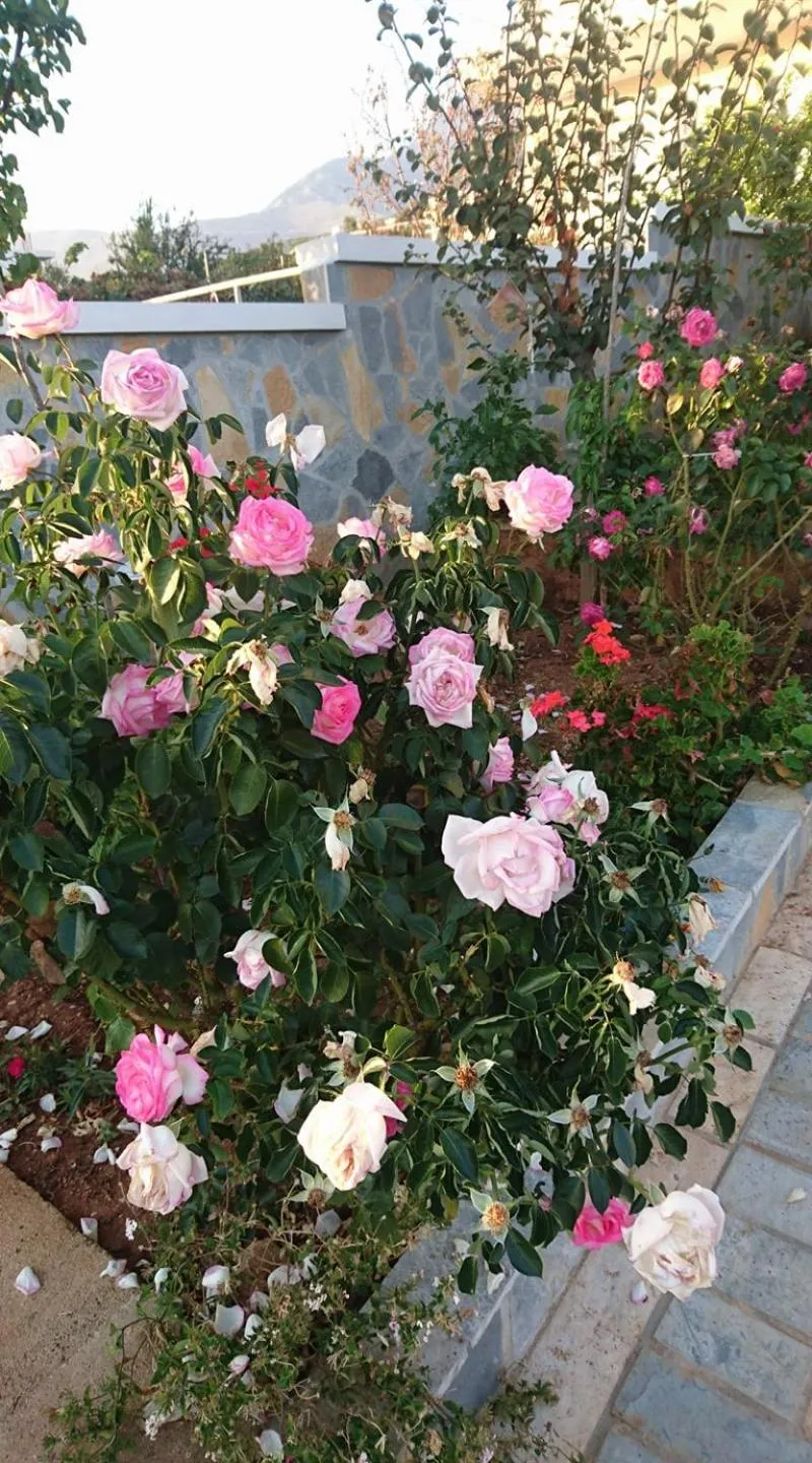 Dhori House Dhermi
