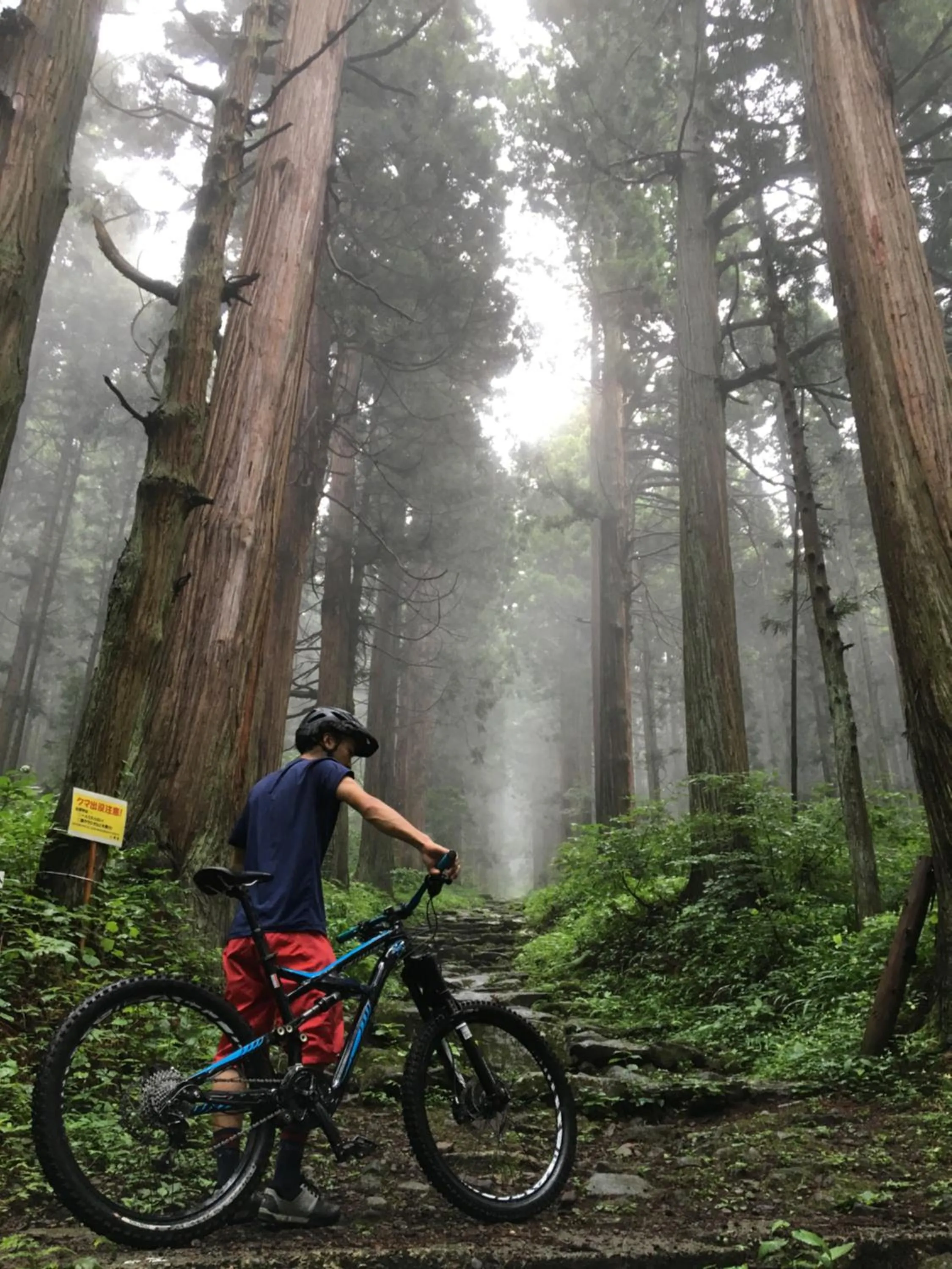 Summer in Kawamotoya