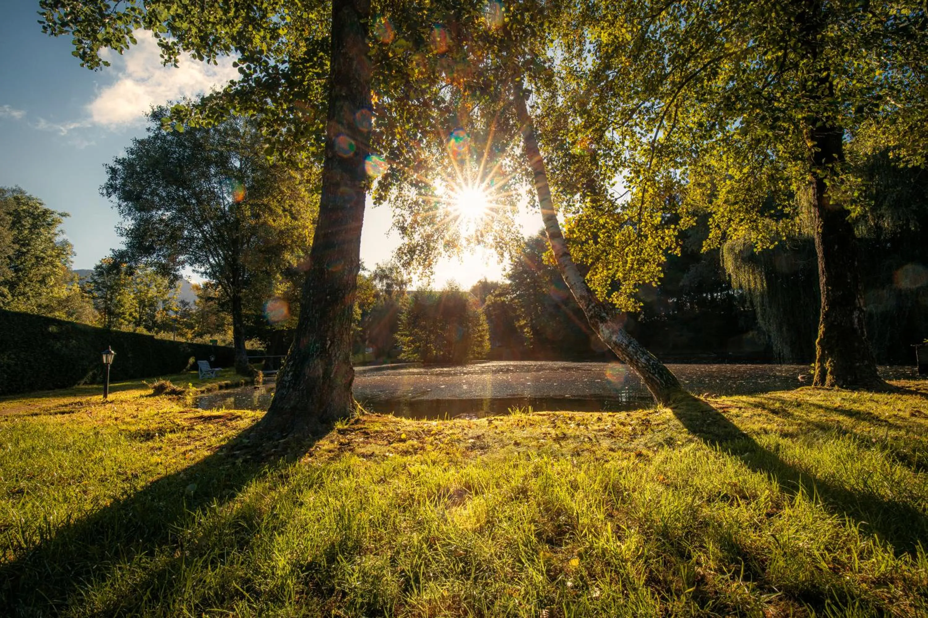 Garden in Hotel zum Hirschen