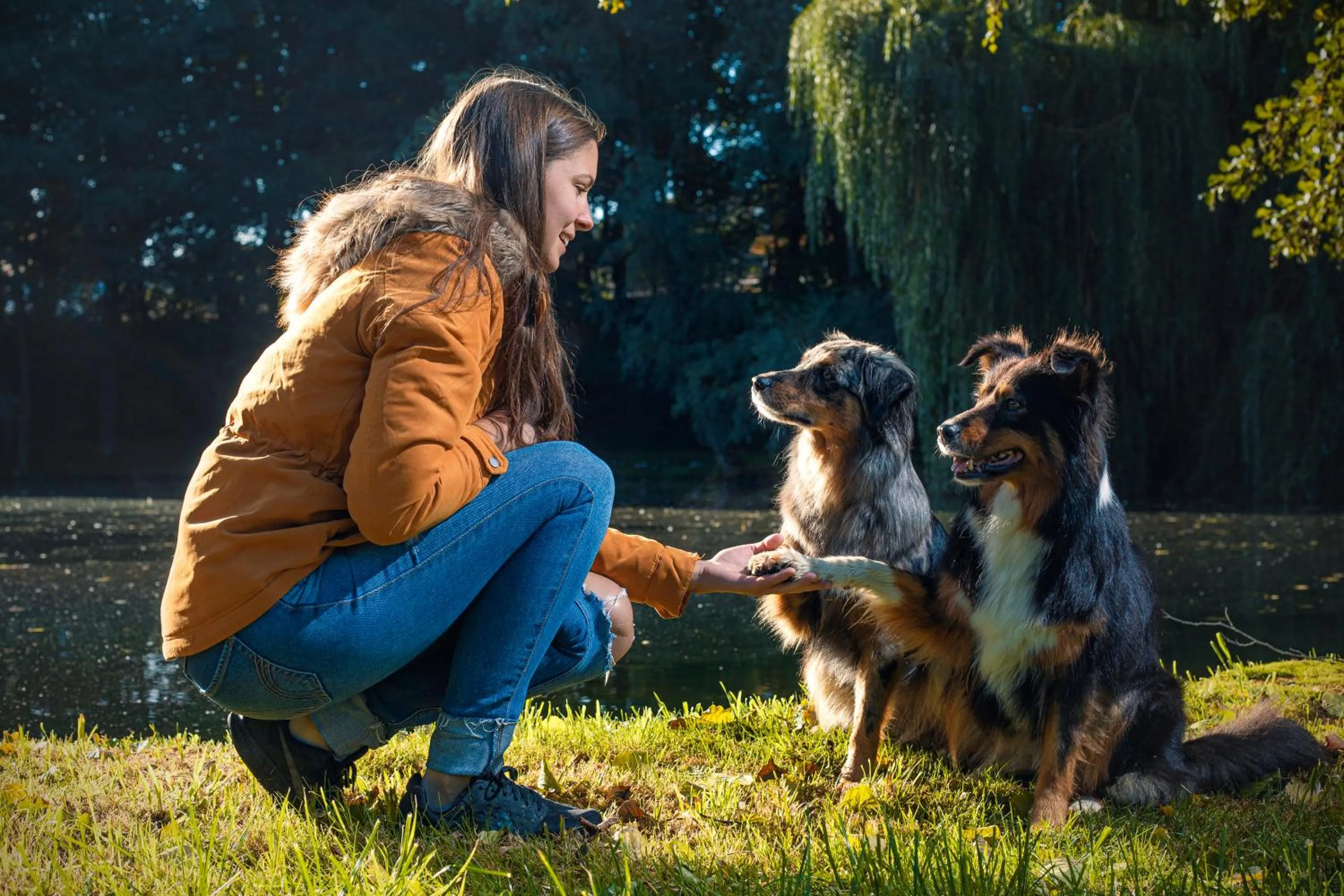 Pets in Hotel zum Hirschen