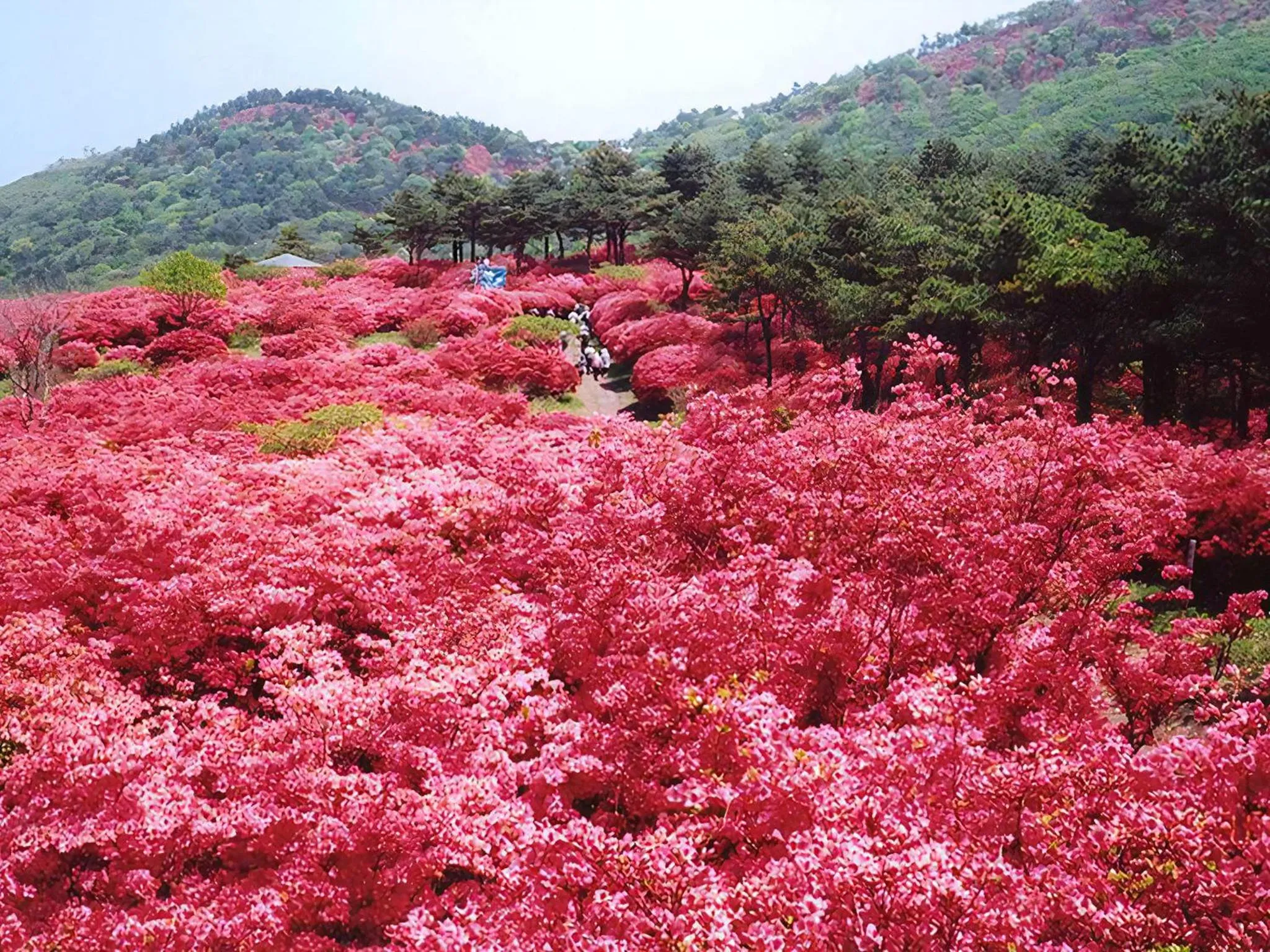Nearby landmark in Hotel Pearl City Kesennuma