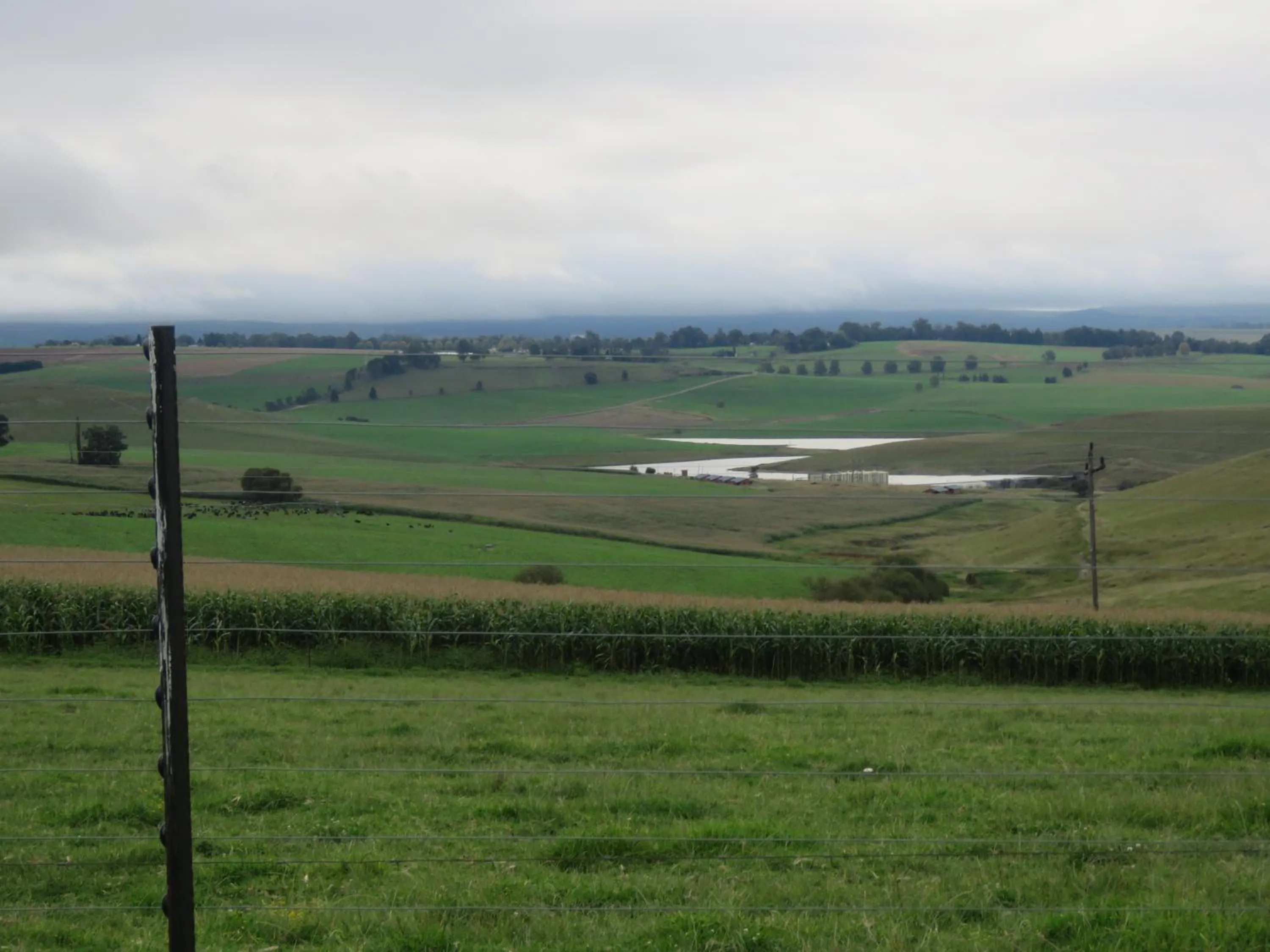 Natural landscape in Dunroamin Bed and Breakfast