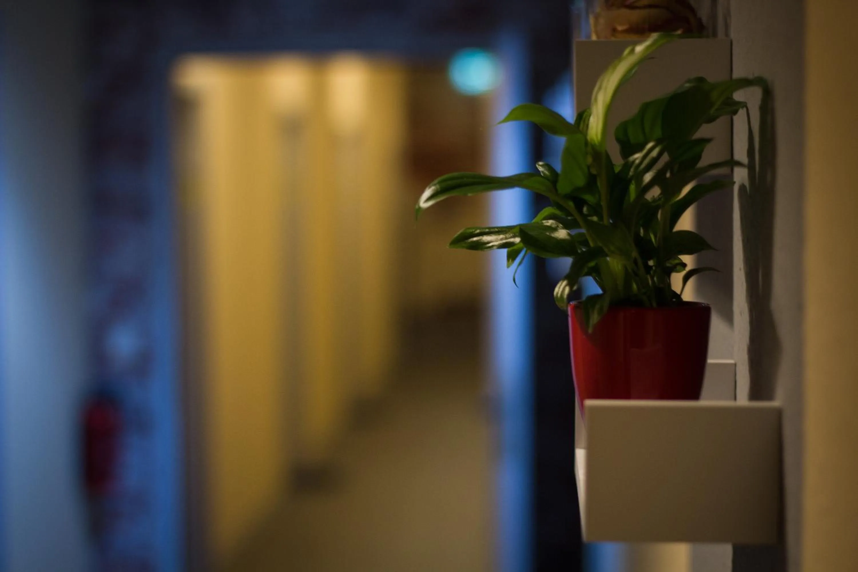 Seasons in Hostel Gästehaus Kaiserpassage- Ihr Cityhostel