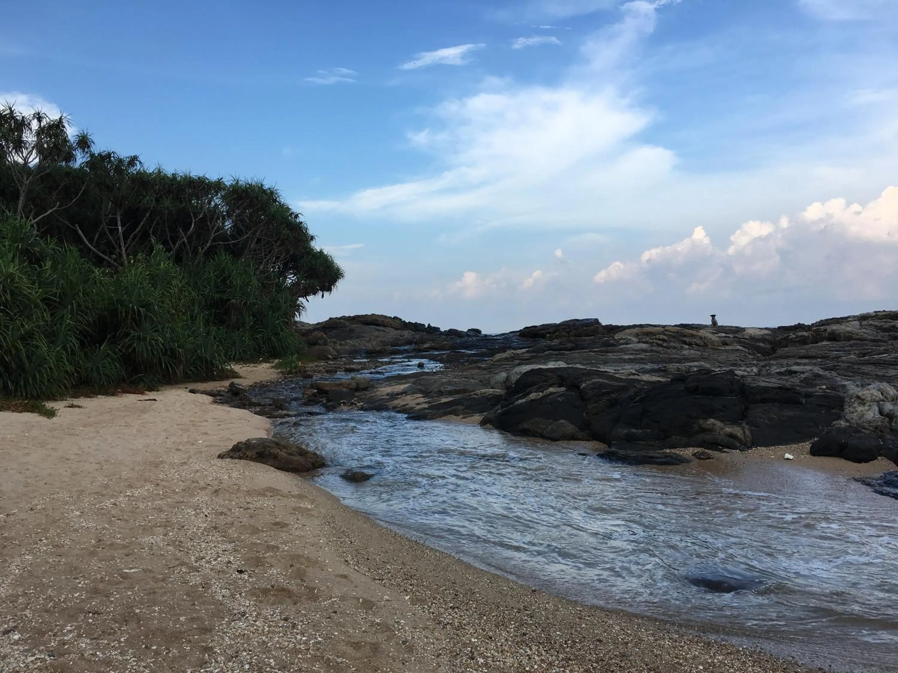 View (from property/room) in All View Resort