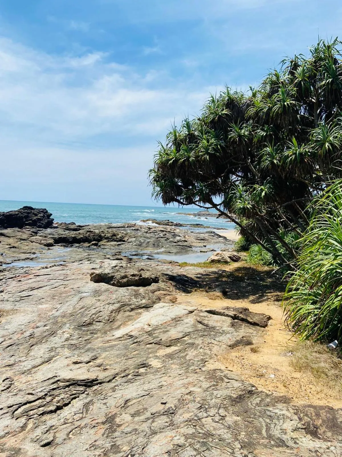 Beach in All View Resort