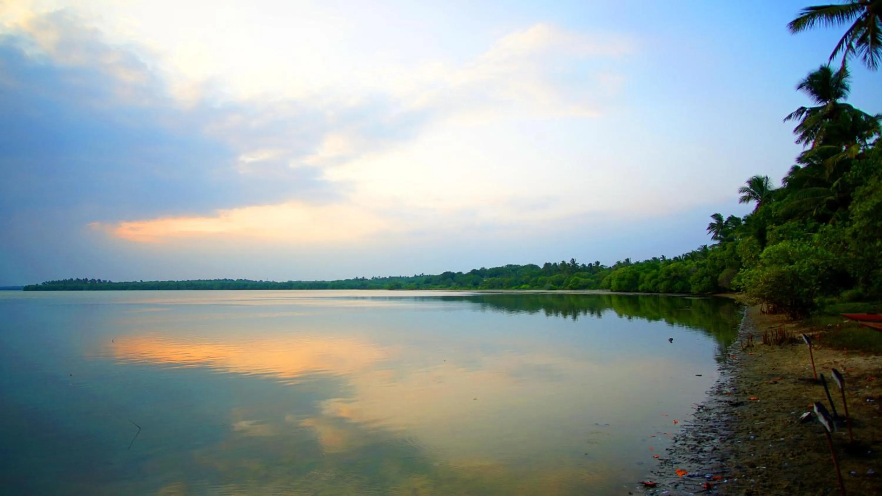 On site in All View Resort