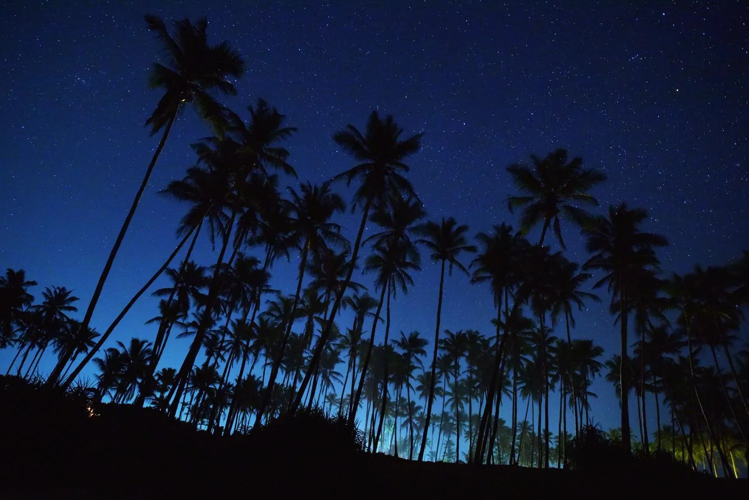 City view in All View Resort