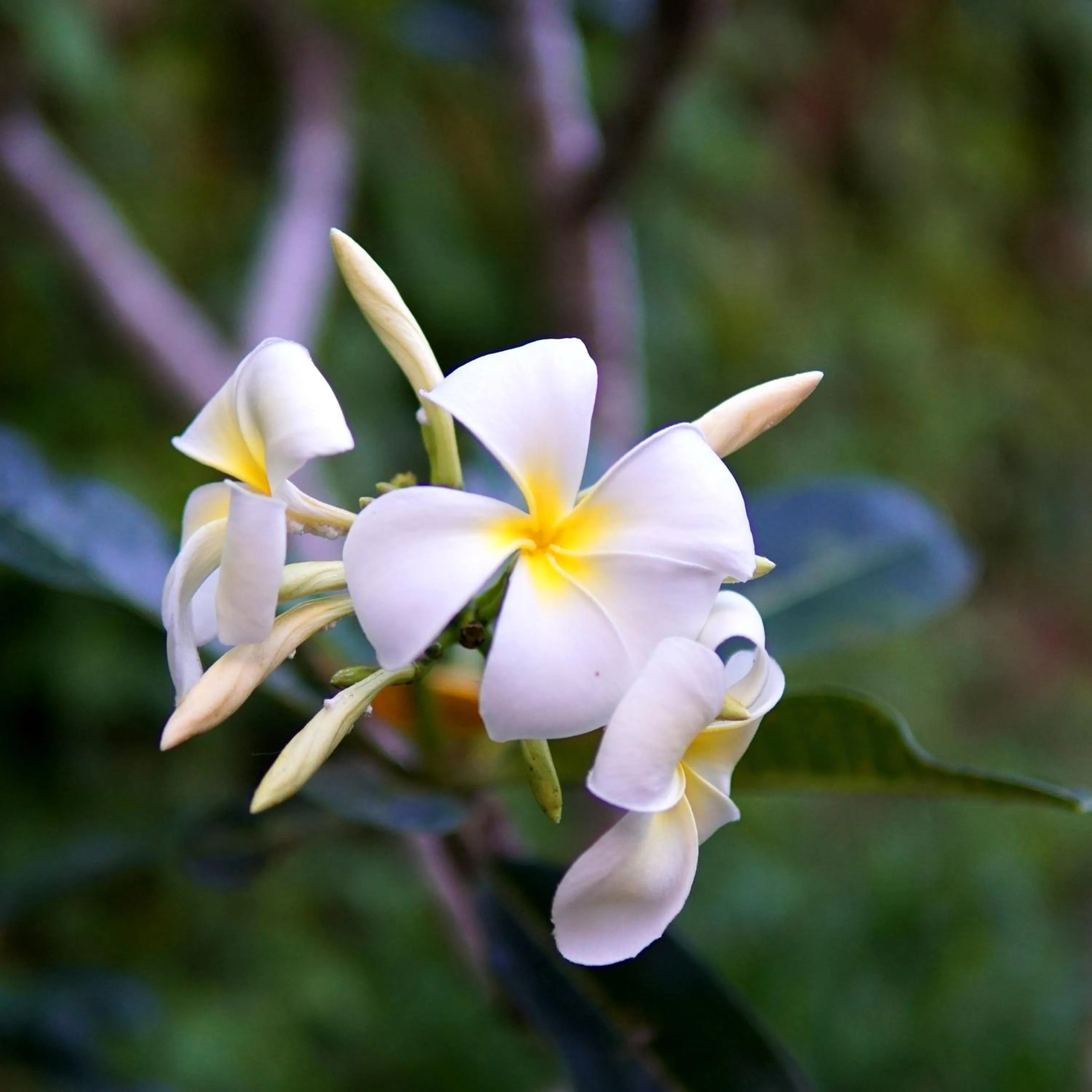 View (from property/room) in All View Resort