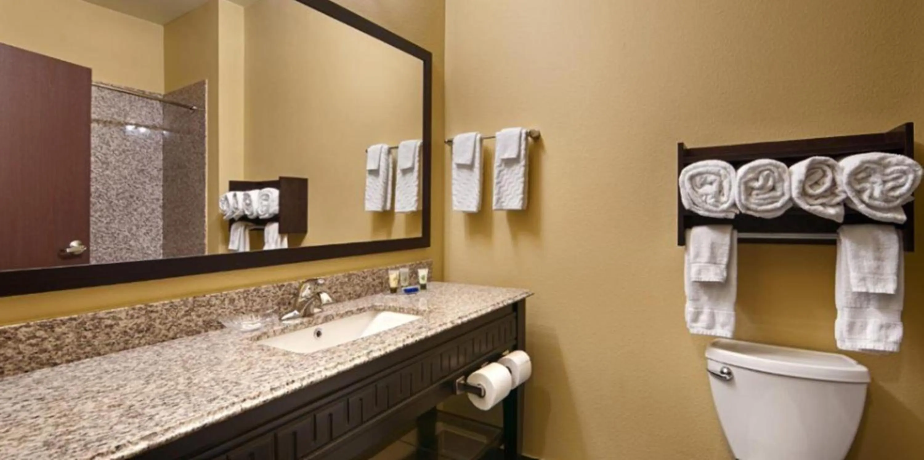 Best Western Plus Carrizo Springs Inn & Suites