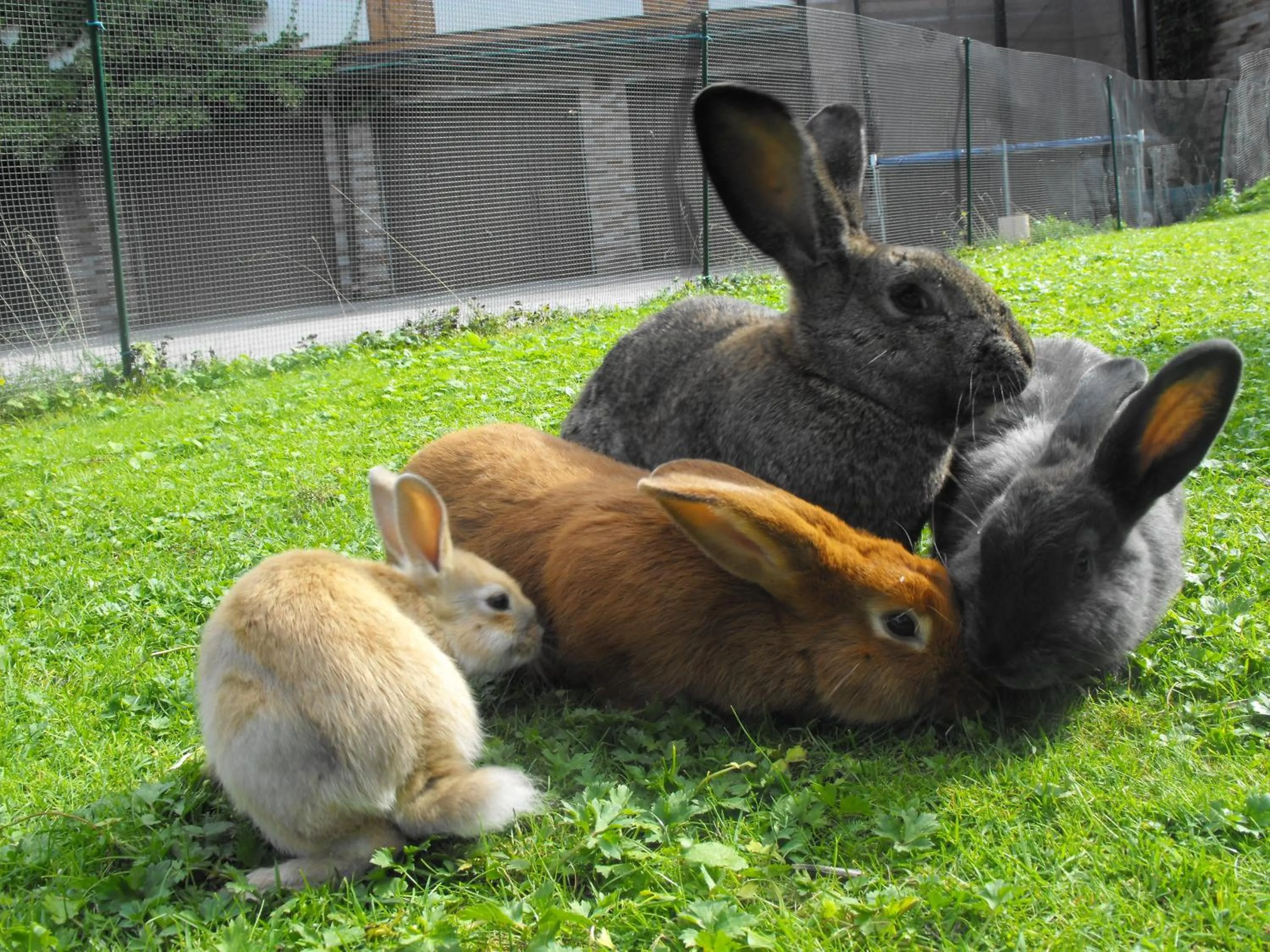 Children play ground in Hotel Ennskraxblick