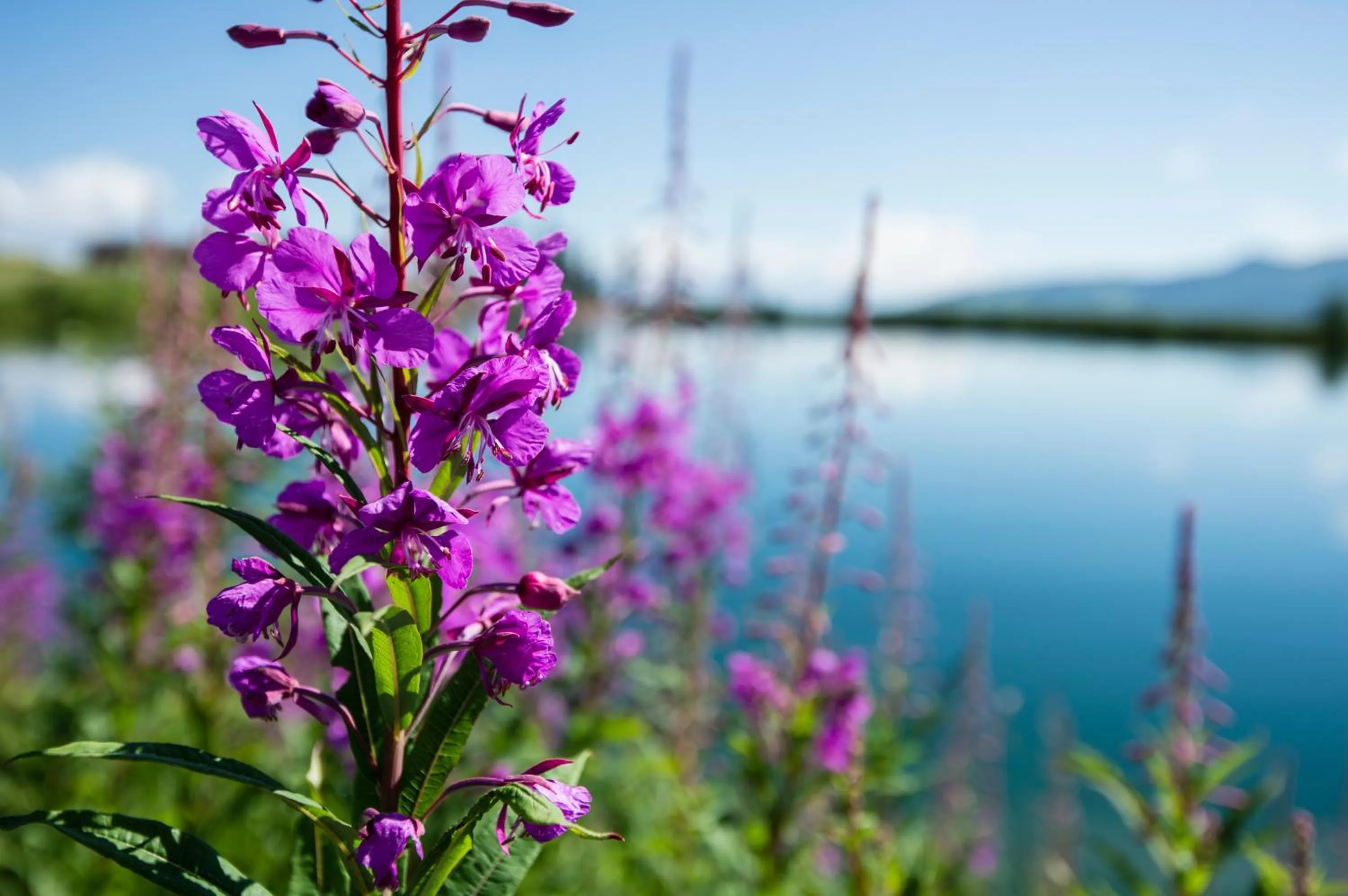 Hiking in Hotel Ennskraxblick