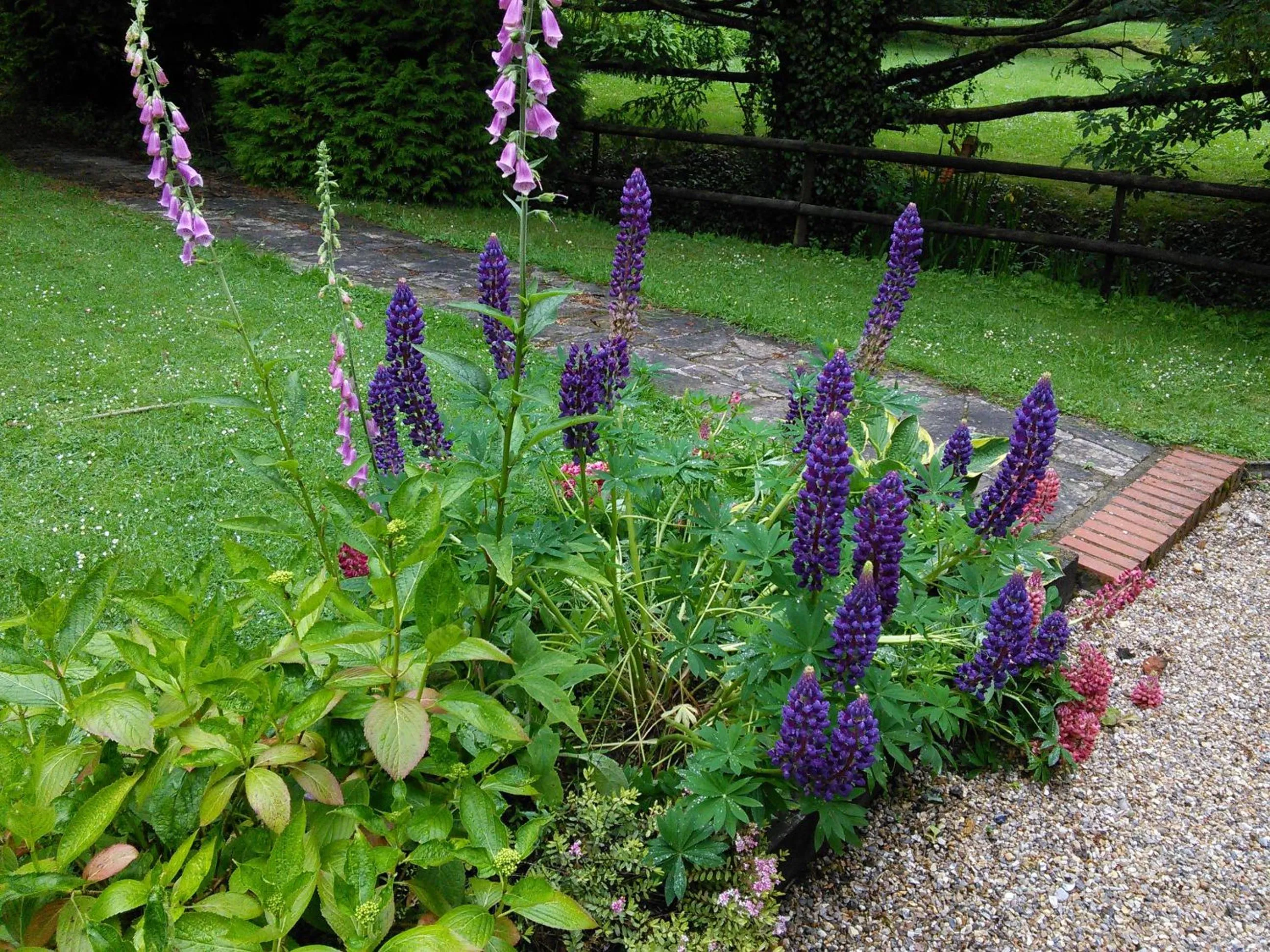 Garden in Felbrigg Lodge Bed And Breakfast