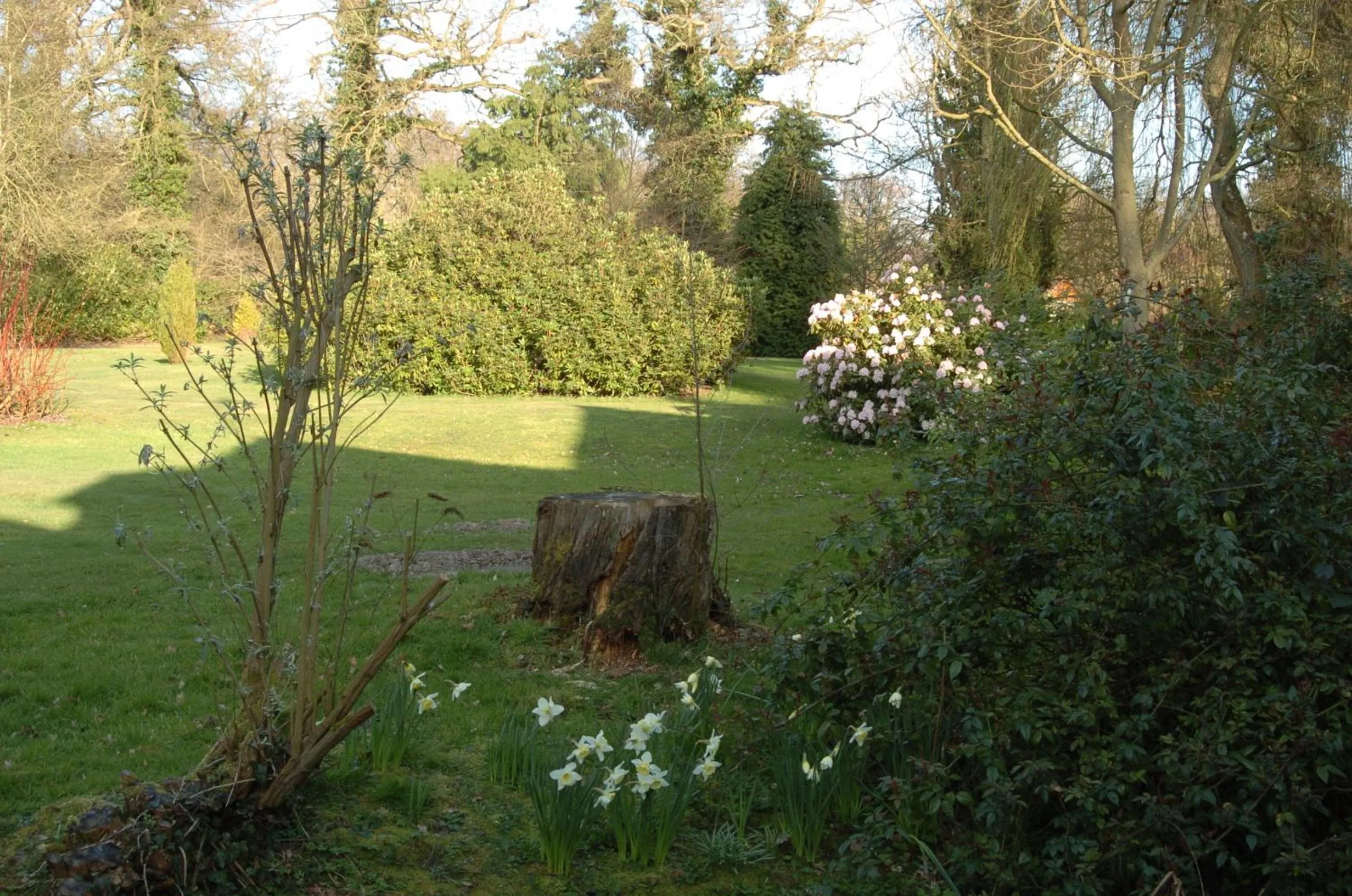 Garden in Felbrigg Lodge Bed And Breakfast