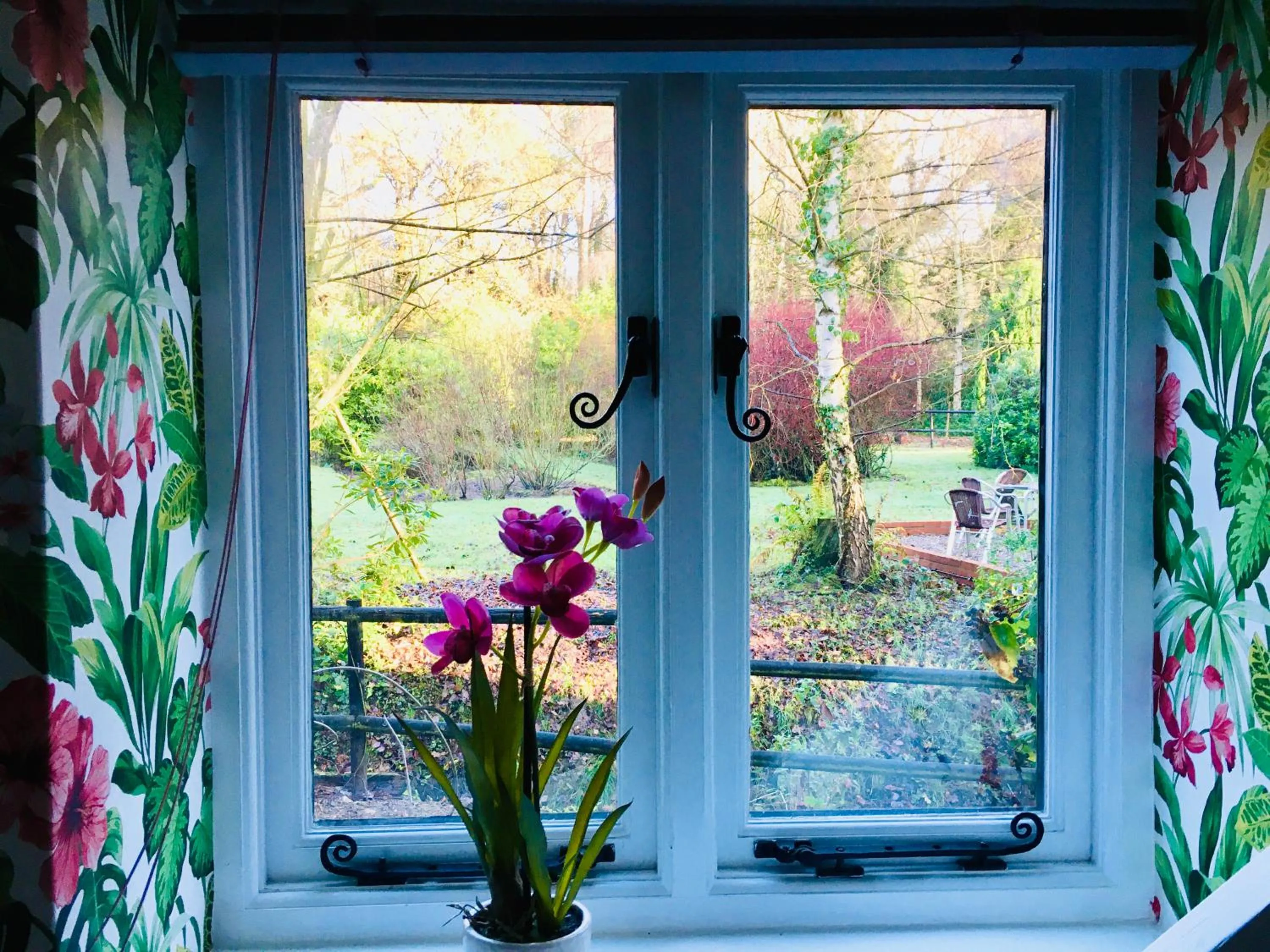 Garden view in Felbrigg Lodge Bed And Breakfast