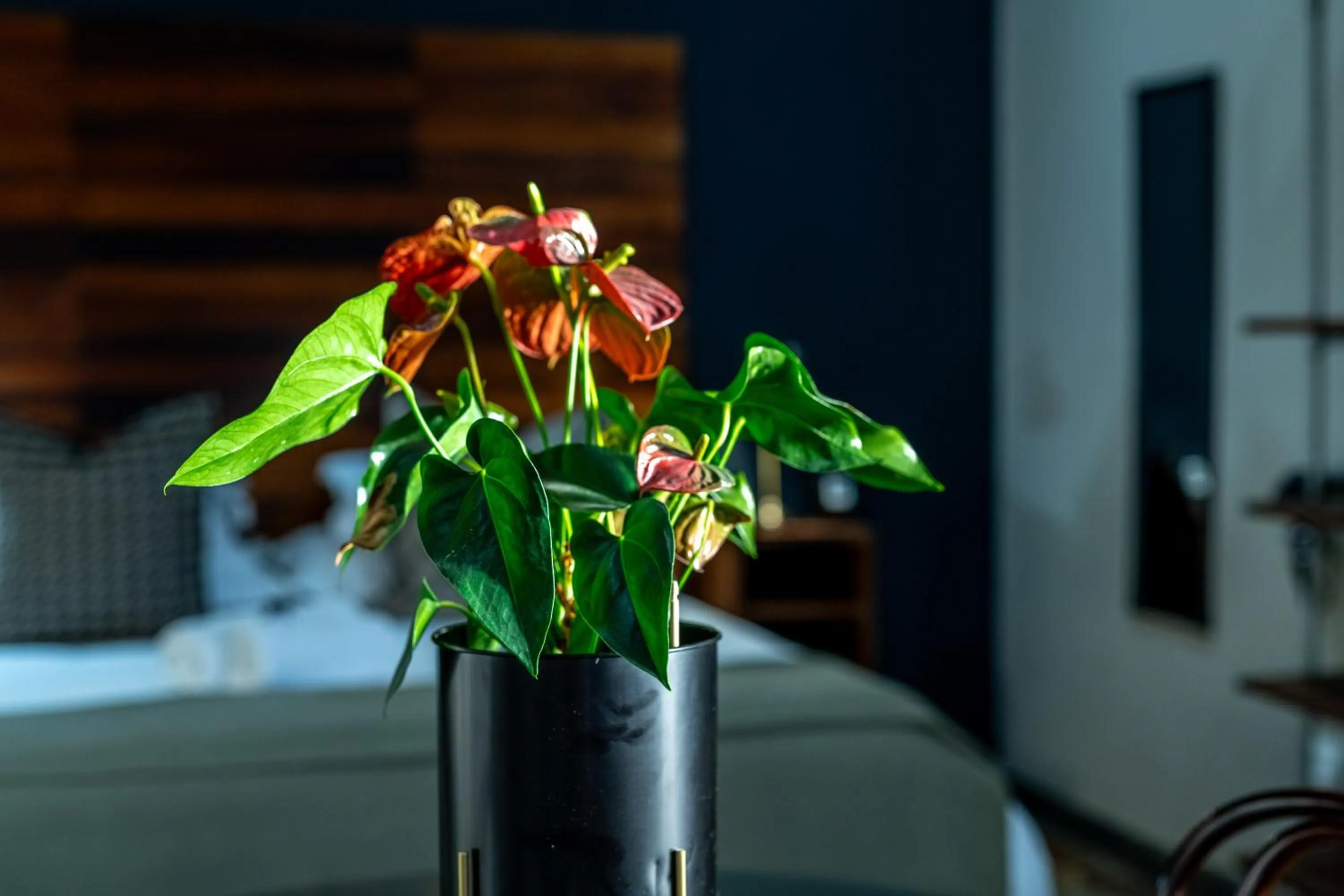 Decorative detail, Bed in Blue Rain Guest House