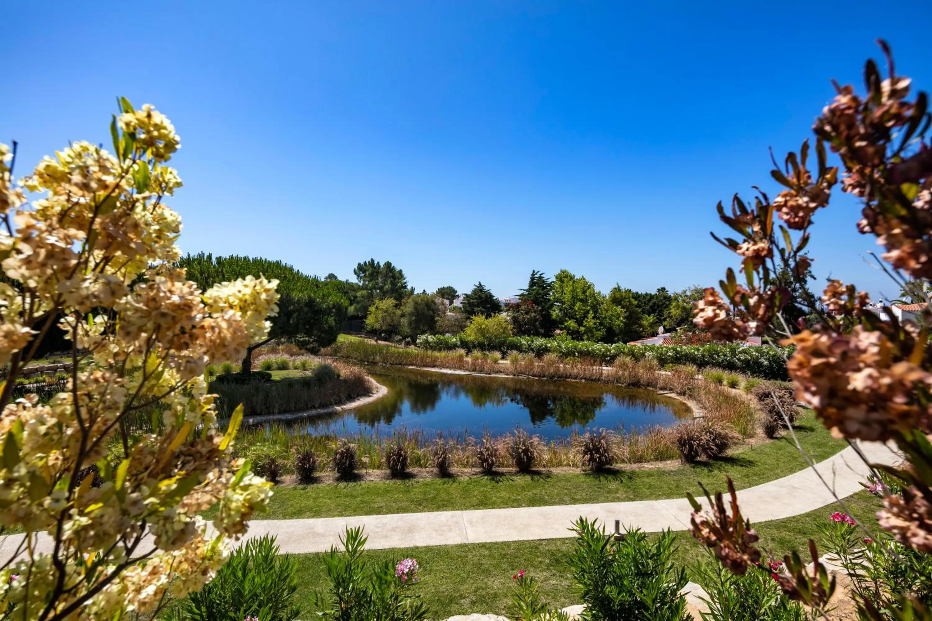 Property building in Vale de Milho Village