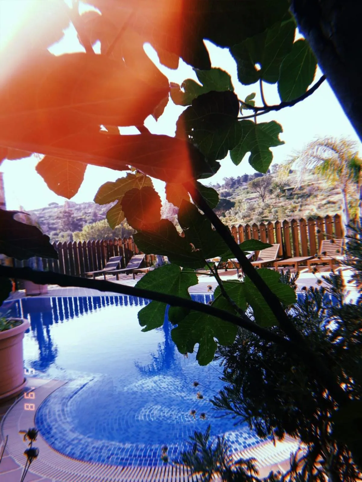 Swimming pool in Il Castello