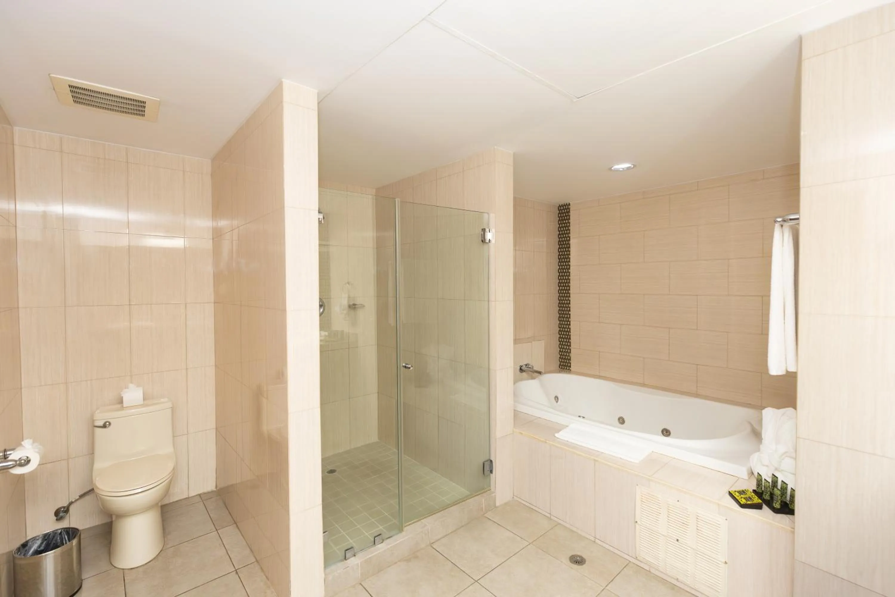 Bathroom in Victoria Hotel and Suites Panama