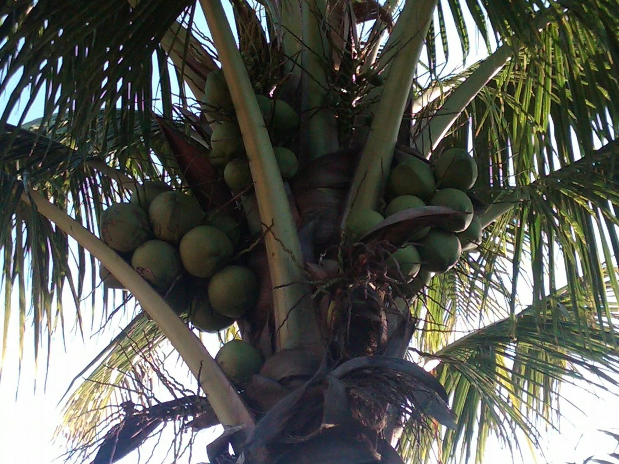 Other in La Delphina Bed and Breakfast Bar and Grill