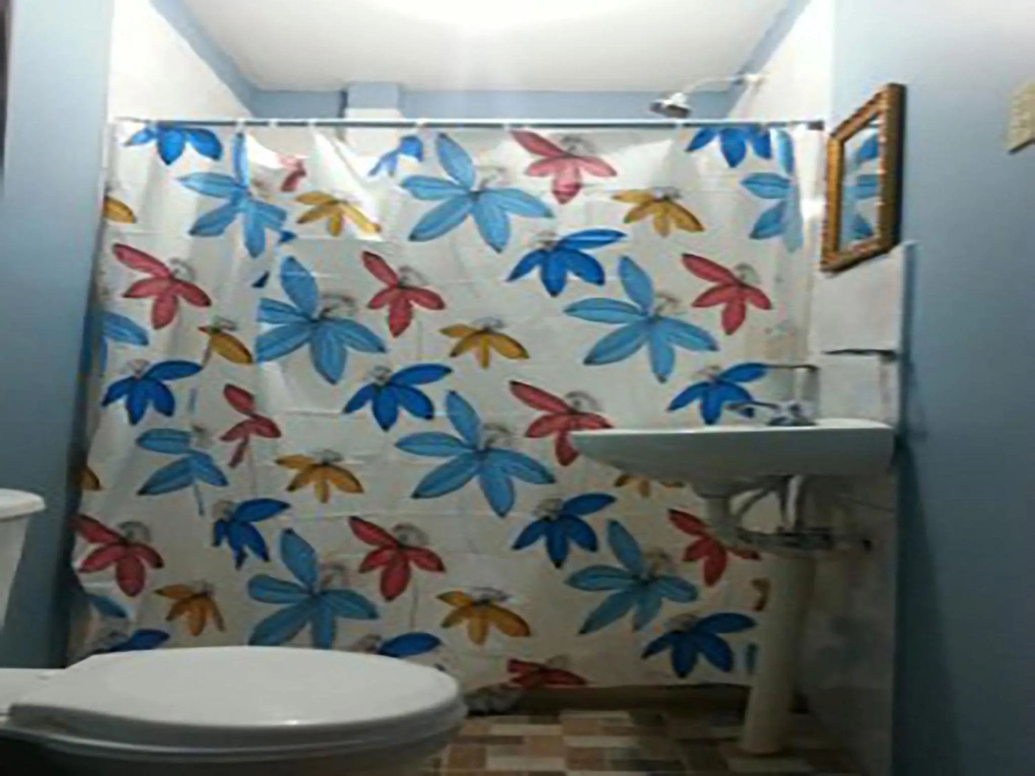 Shower in La Delphina Bed and Breakfast Bar and Grill