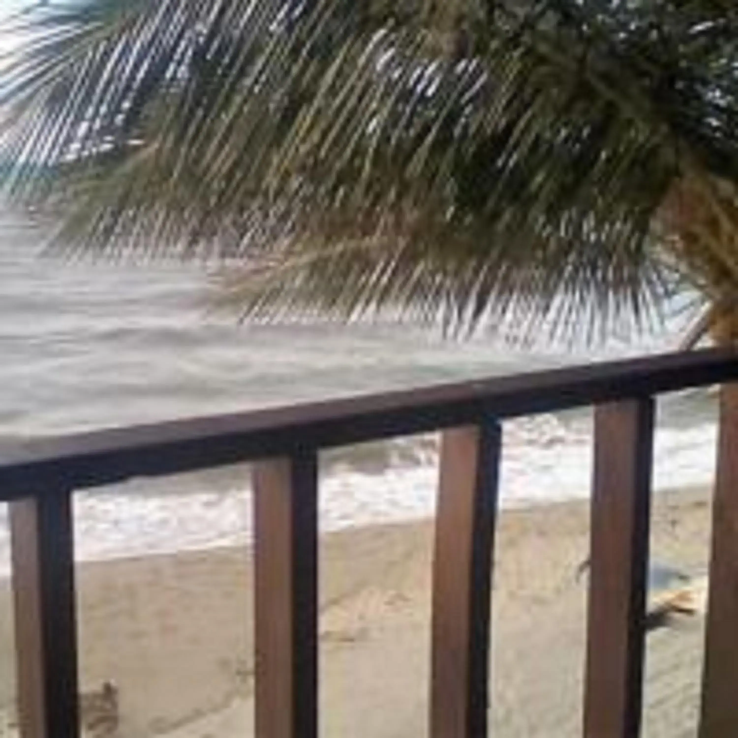 King Suite with Sea View in La Delphina Bed and Breakfast Bar and Grill King Suite with Sea View in La Delphina Bed and Breakfast Bar and Grill