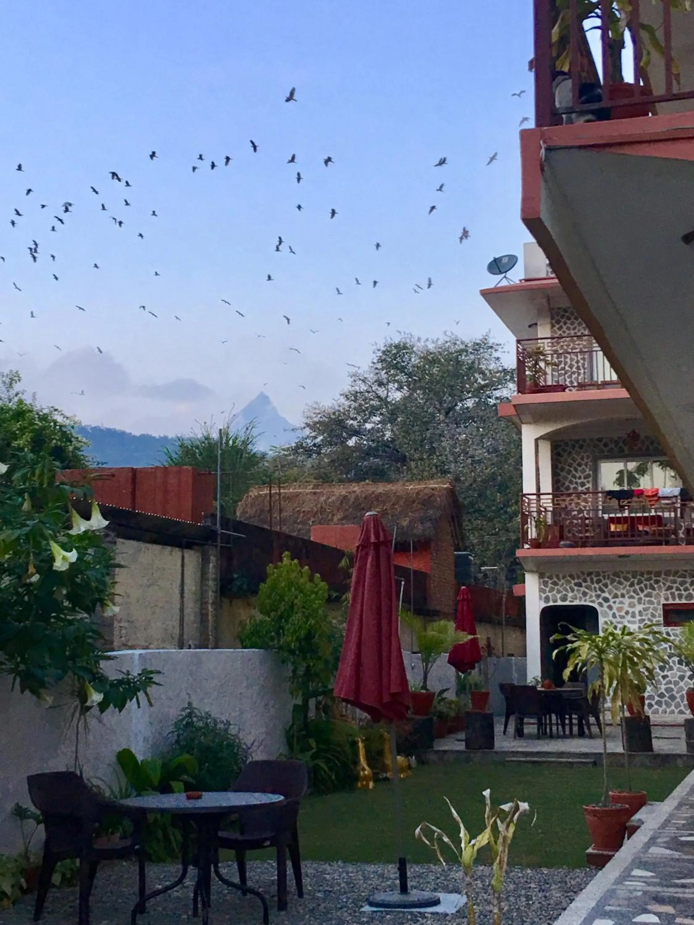 Natural landscape in Three Jewels Boutique Hotel