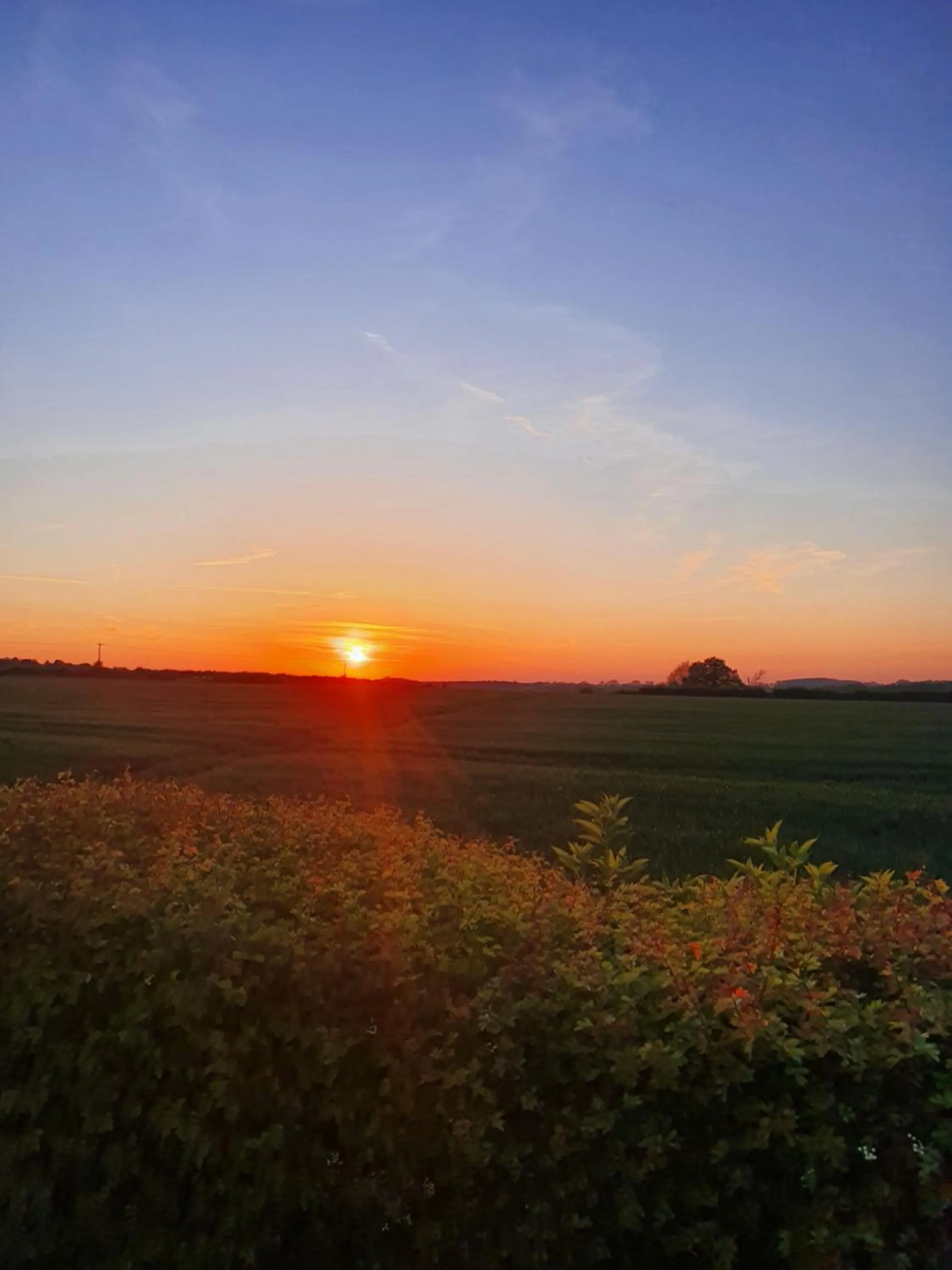 Natural landscape in The Royal Arms Bed & Breakfast