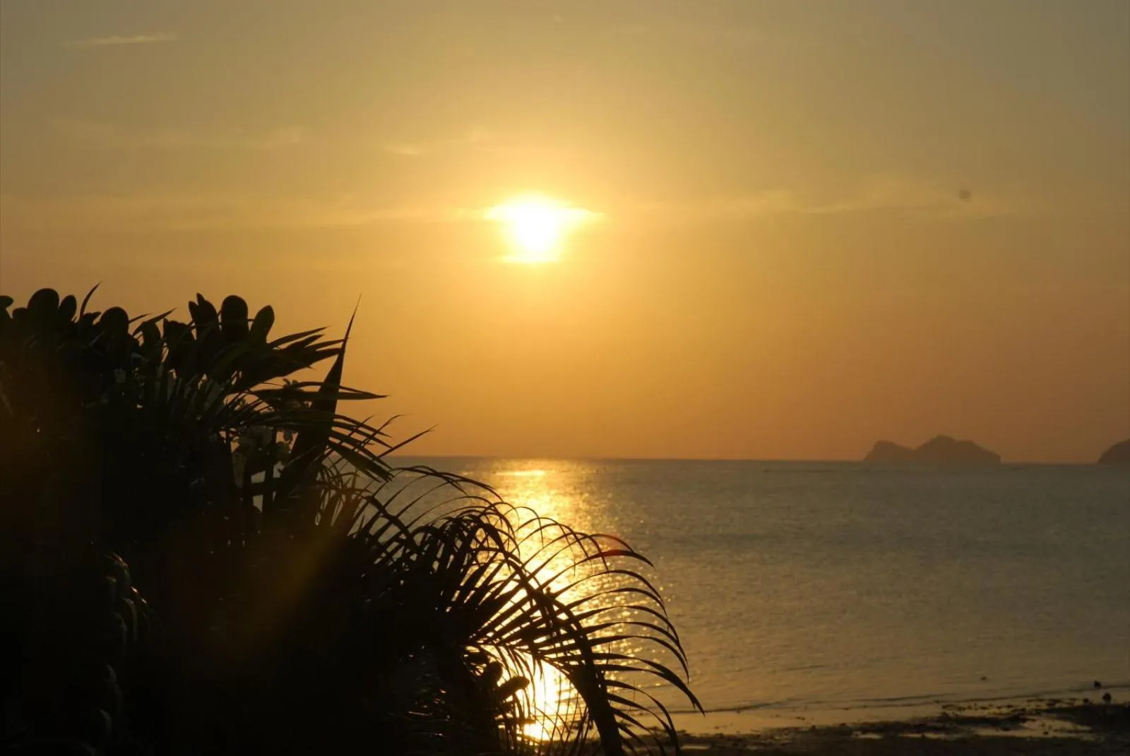 View (from property/room) in Phangan Orchid Resort