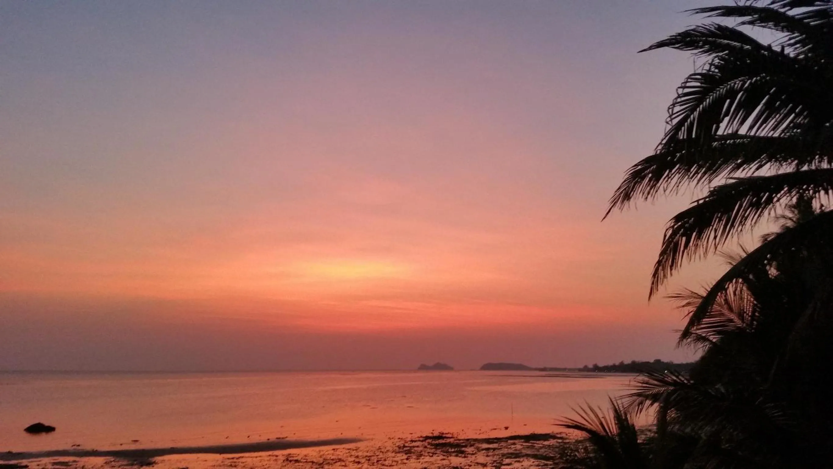Day in Phangan Orchid Resort