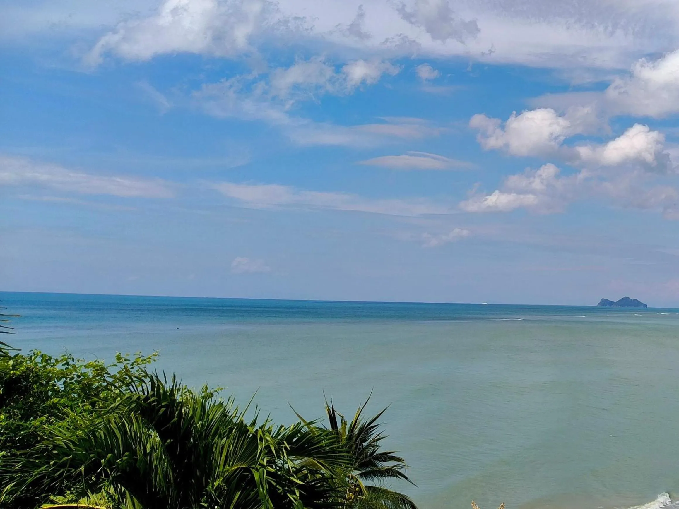 Natural landscape in Phangan Orchid Resort