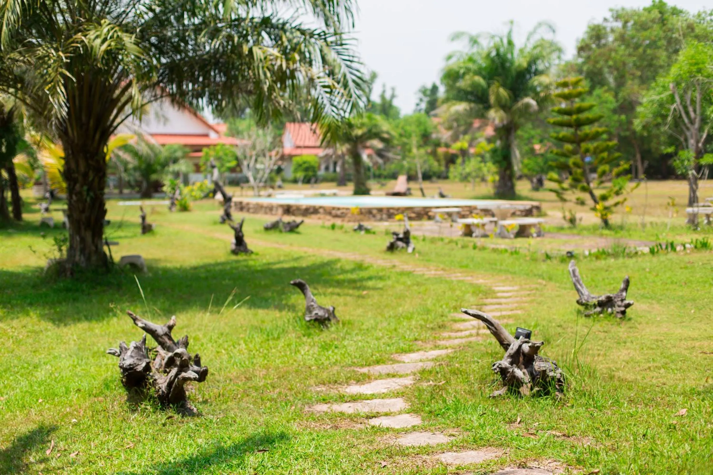 Natural landscape in Armonia Village Resort and Spa