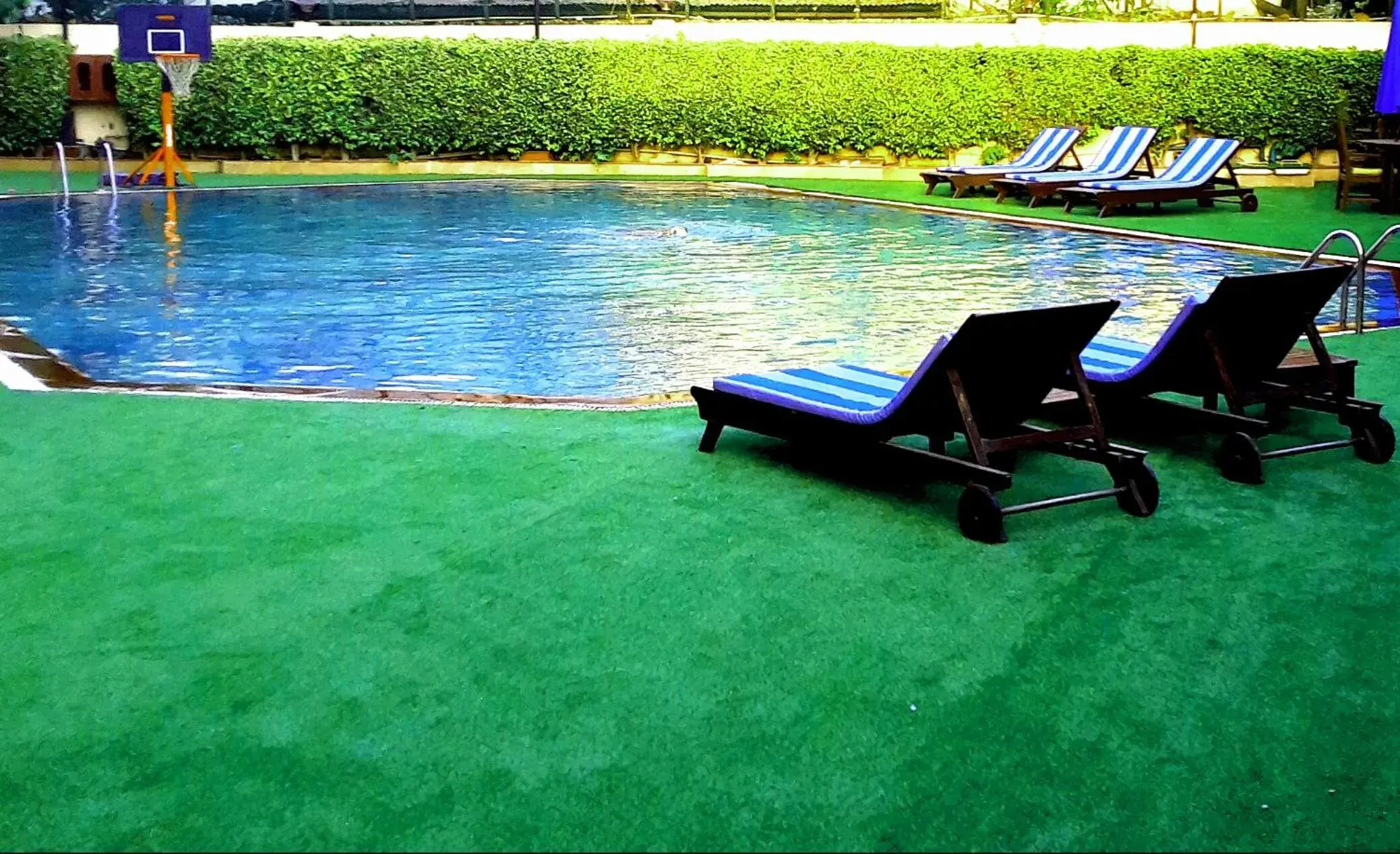 Swimming pool in Park Plaza, Ludhiana Swimming pool in Park Plaza, Ludhiana