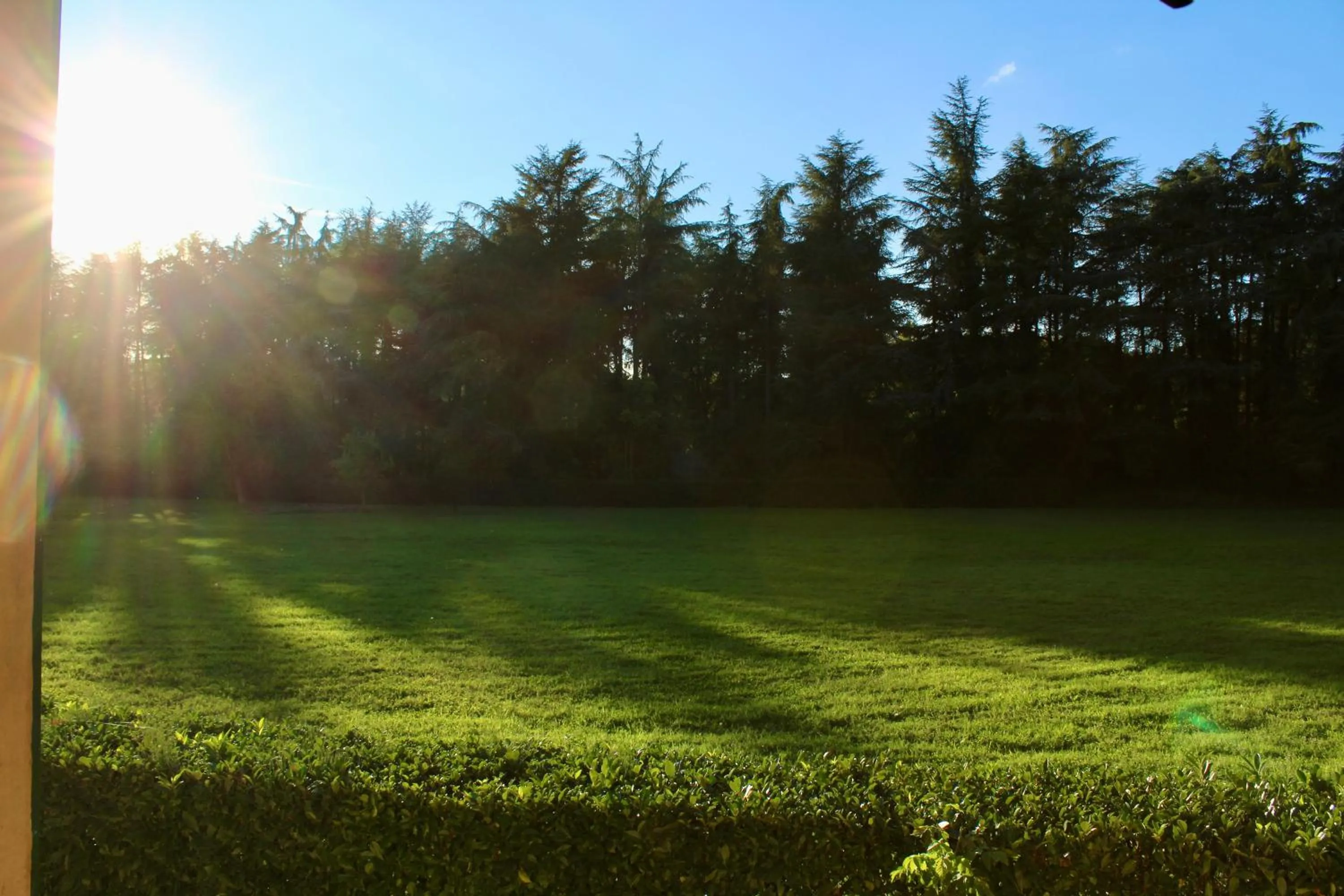 Natural landscape in Hotel Ca' Vecchia