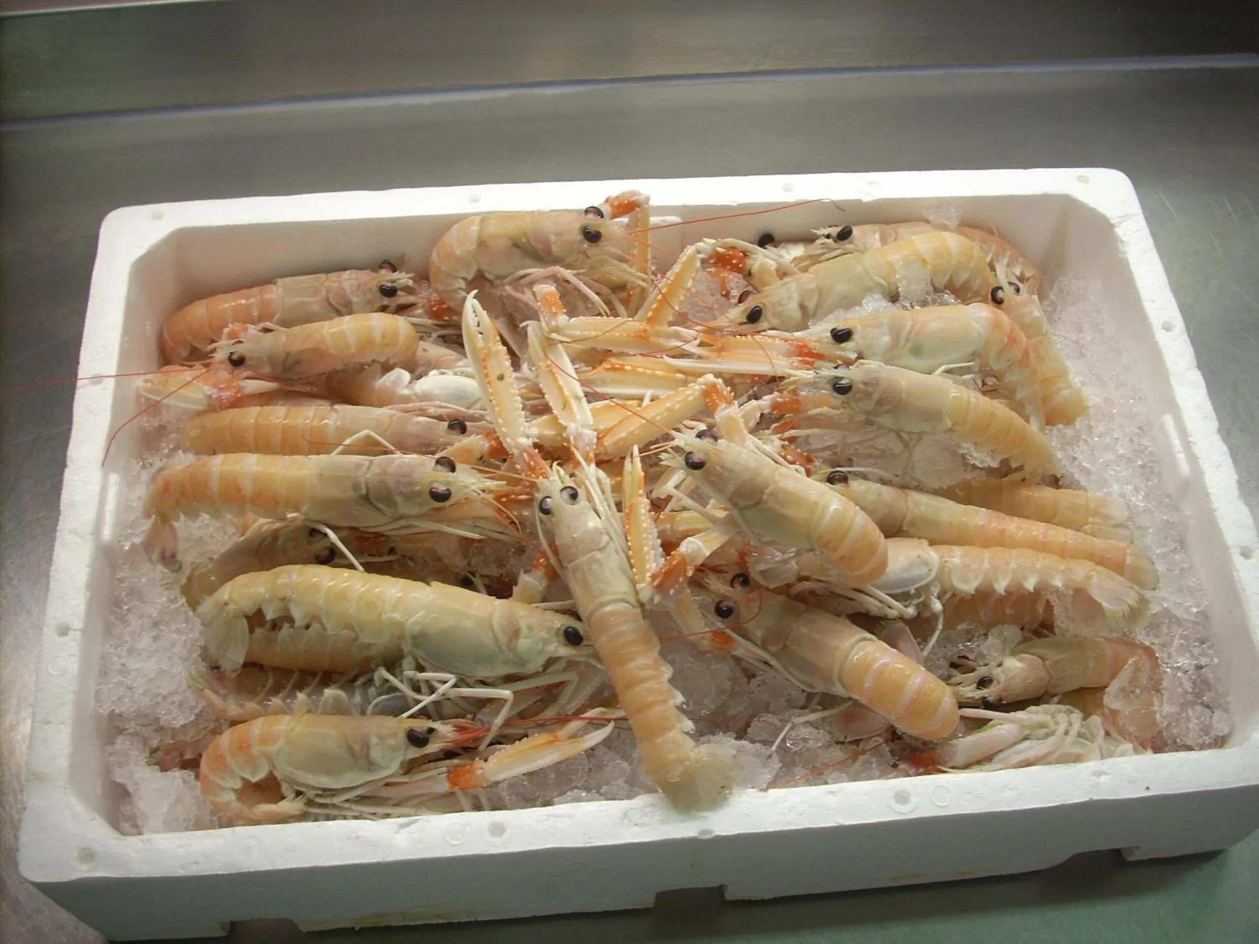 Other in Ai Campi Di Marcello Hotel