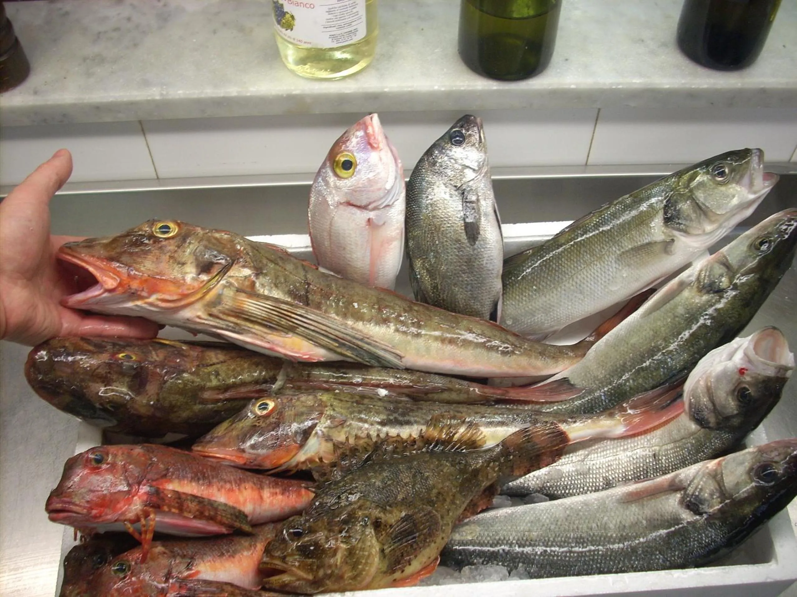 Food close-up in Ai Campi Di Marcello Hotel