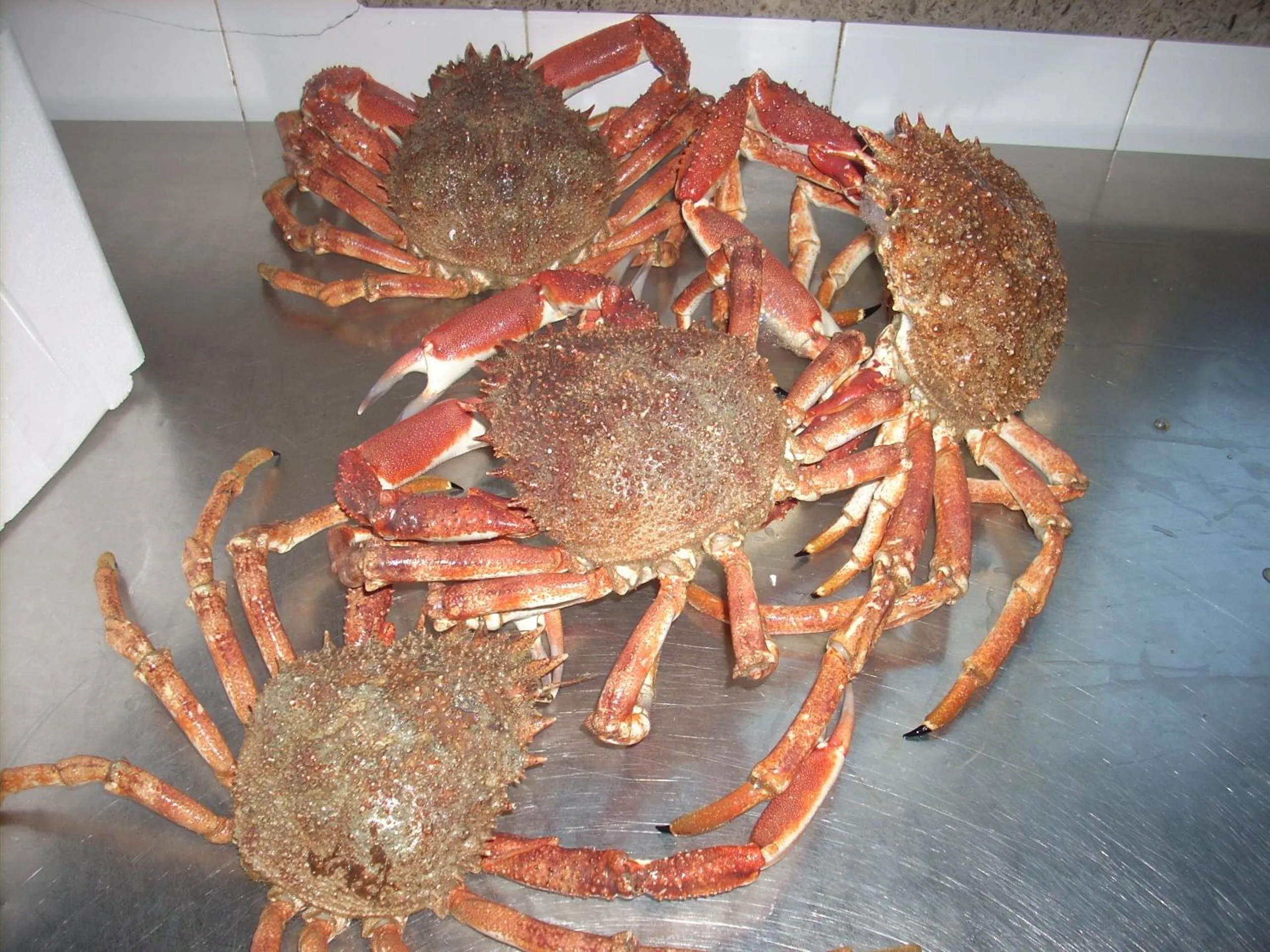 Other in Ai Campi Di Marcello Hotel