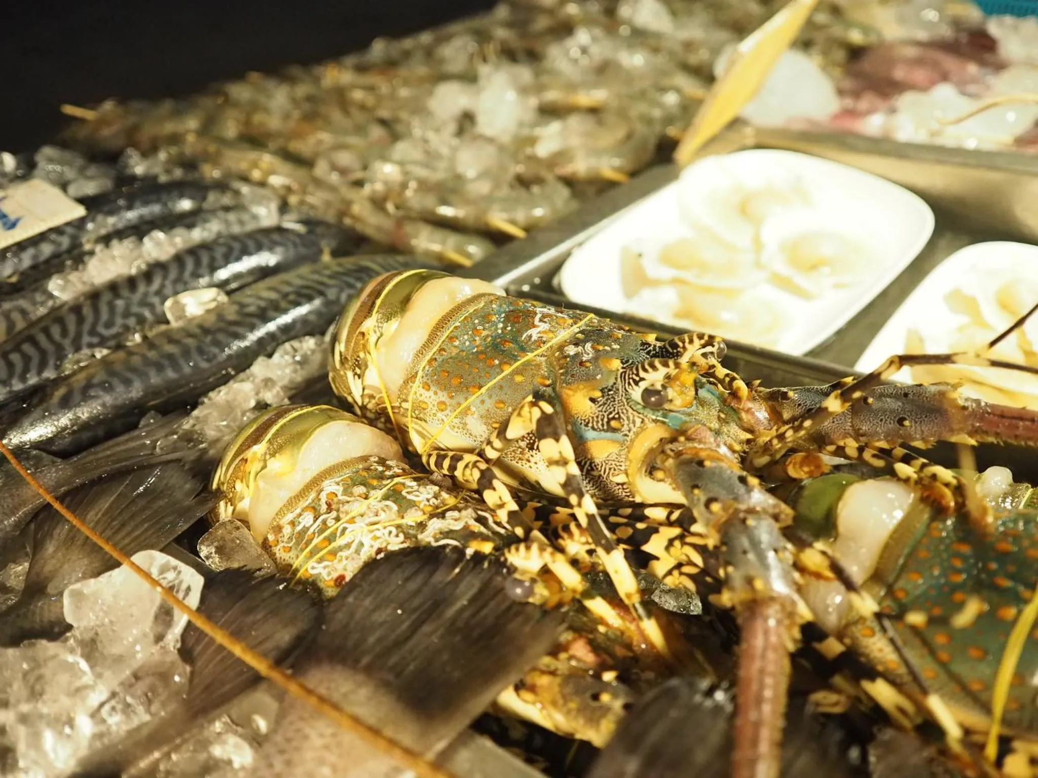 Restaurant/places to eat in Arita Hotel Patong