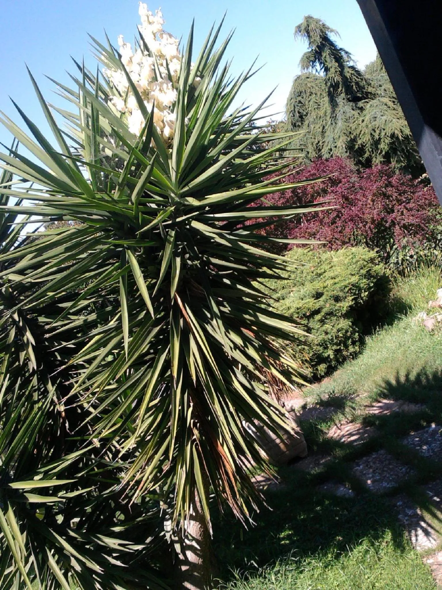 Garden in B&B Villa Sans Souci