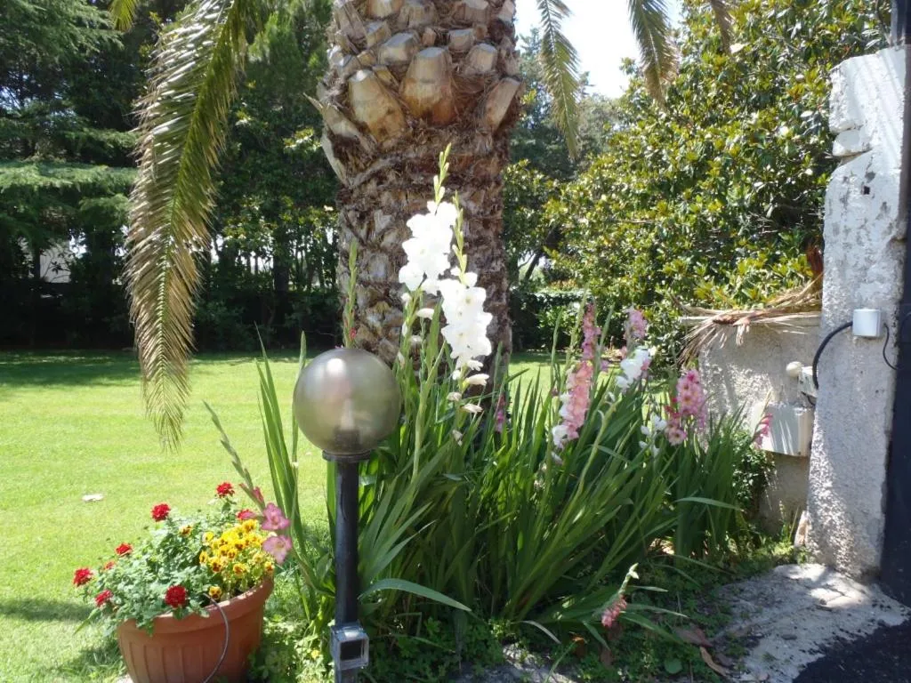 Garden in B&B Villa Sans Souci